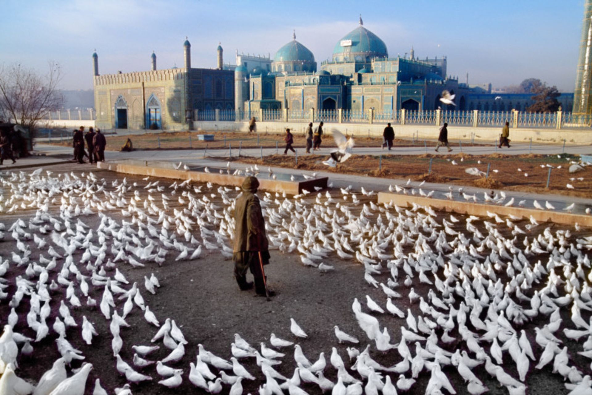 کبوترها در مقابل مسجد کبود مزار شریف