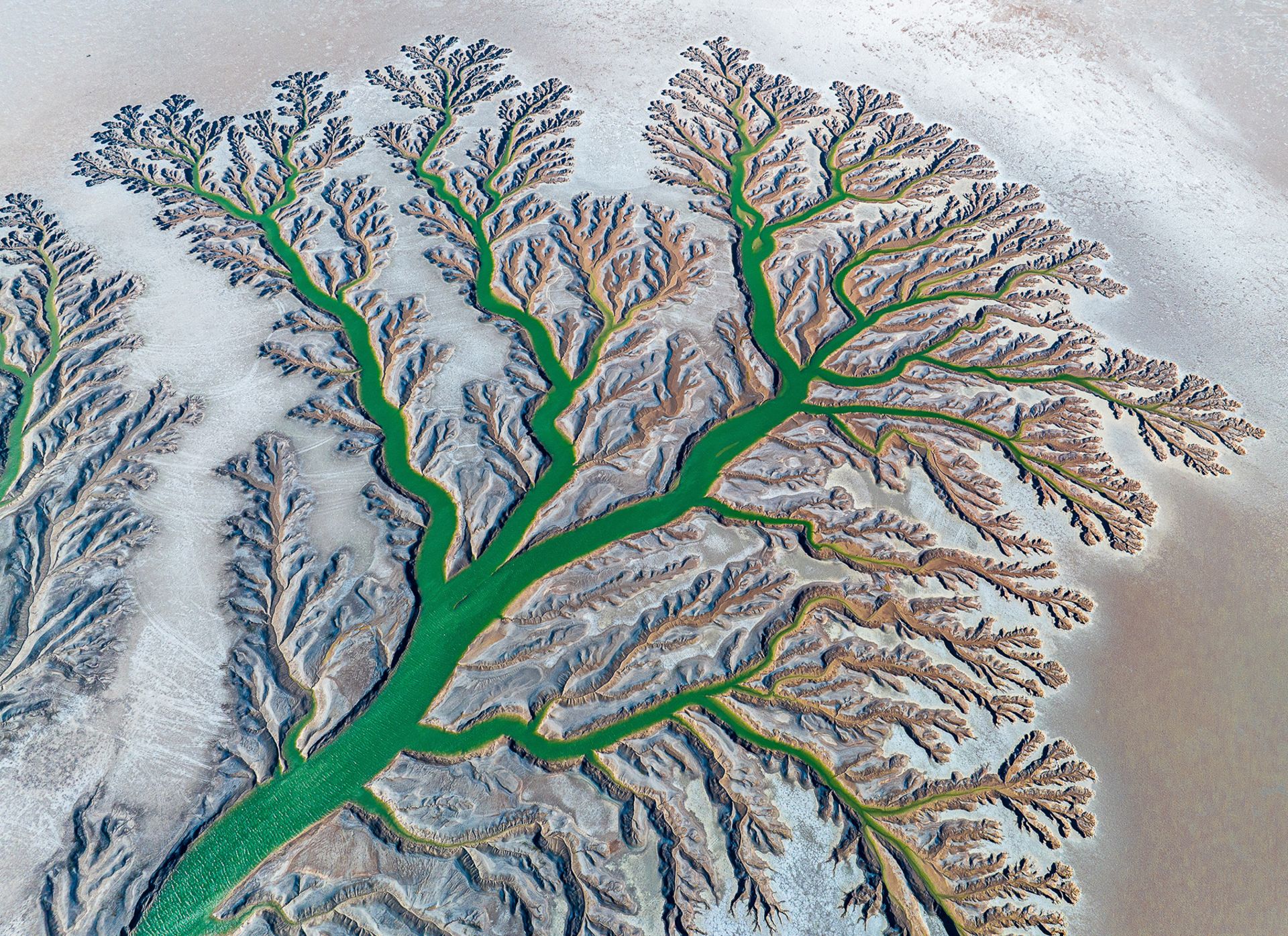 برندگان مسابقه عکاسی قناری ۲۰۲۳