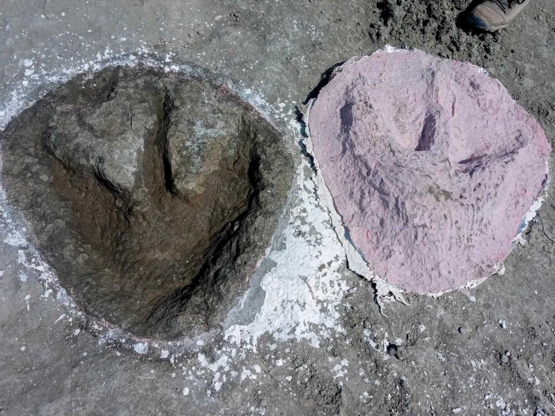 ردپای مگالوسور که دارای پنجه های متمایز سه انگشتی است.