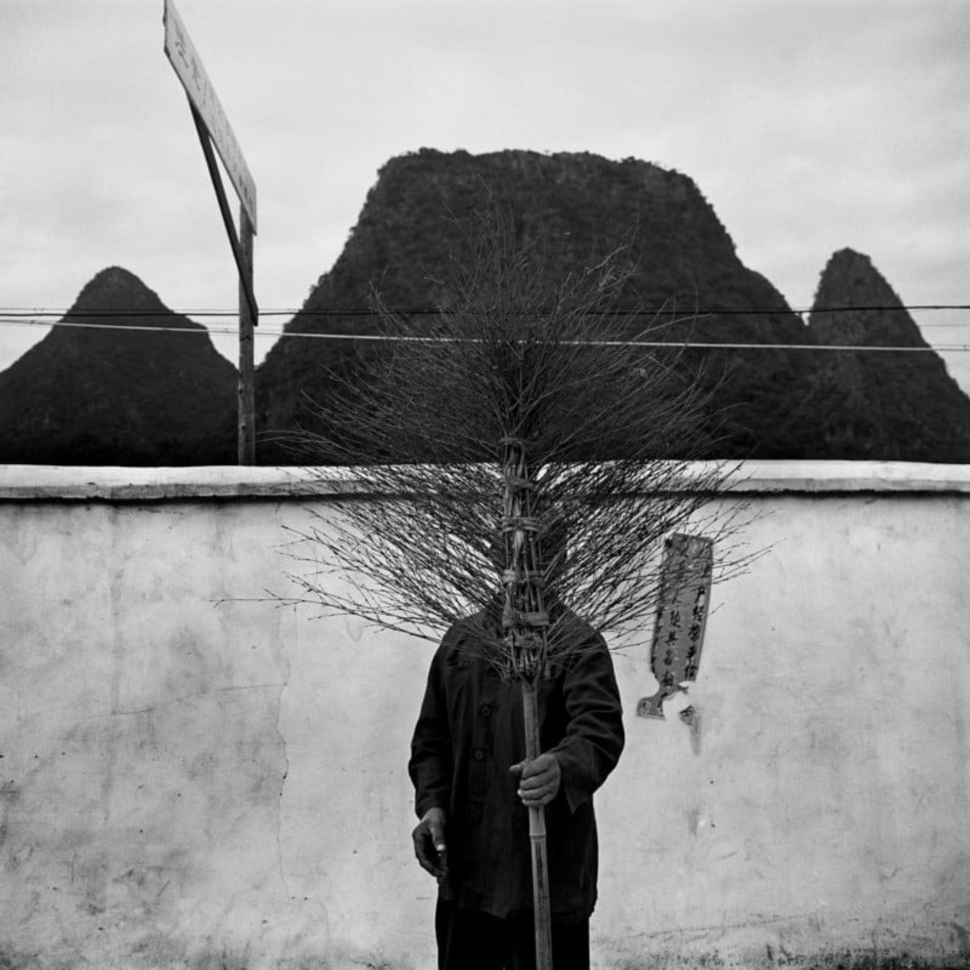 برندگان مسابقه عکاسی جهانی SinoPhoto 2023 