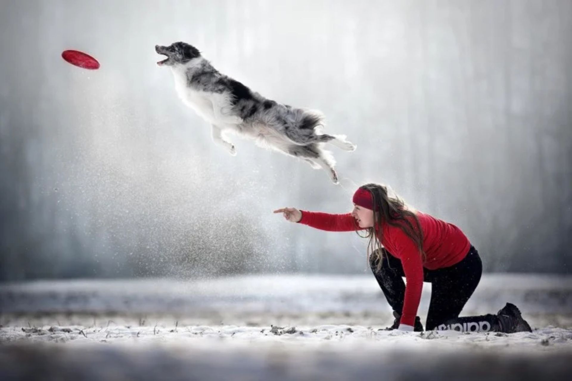 بازی فیریزبی با سگ دختر برف