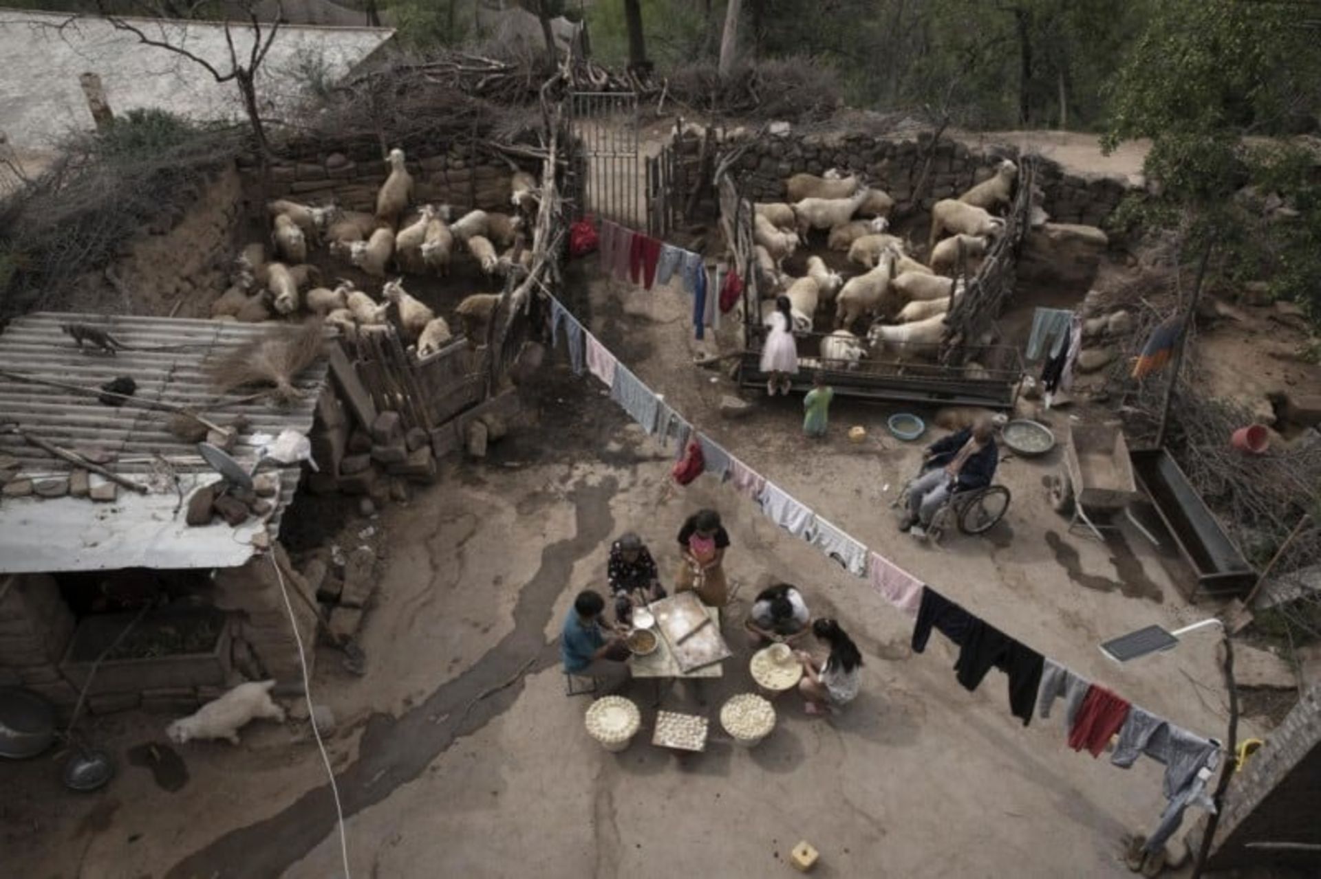 پختن کوفته برنجی خانواده‌ای در استان شانشی