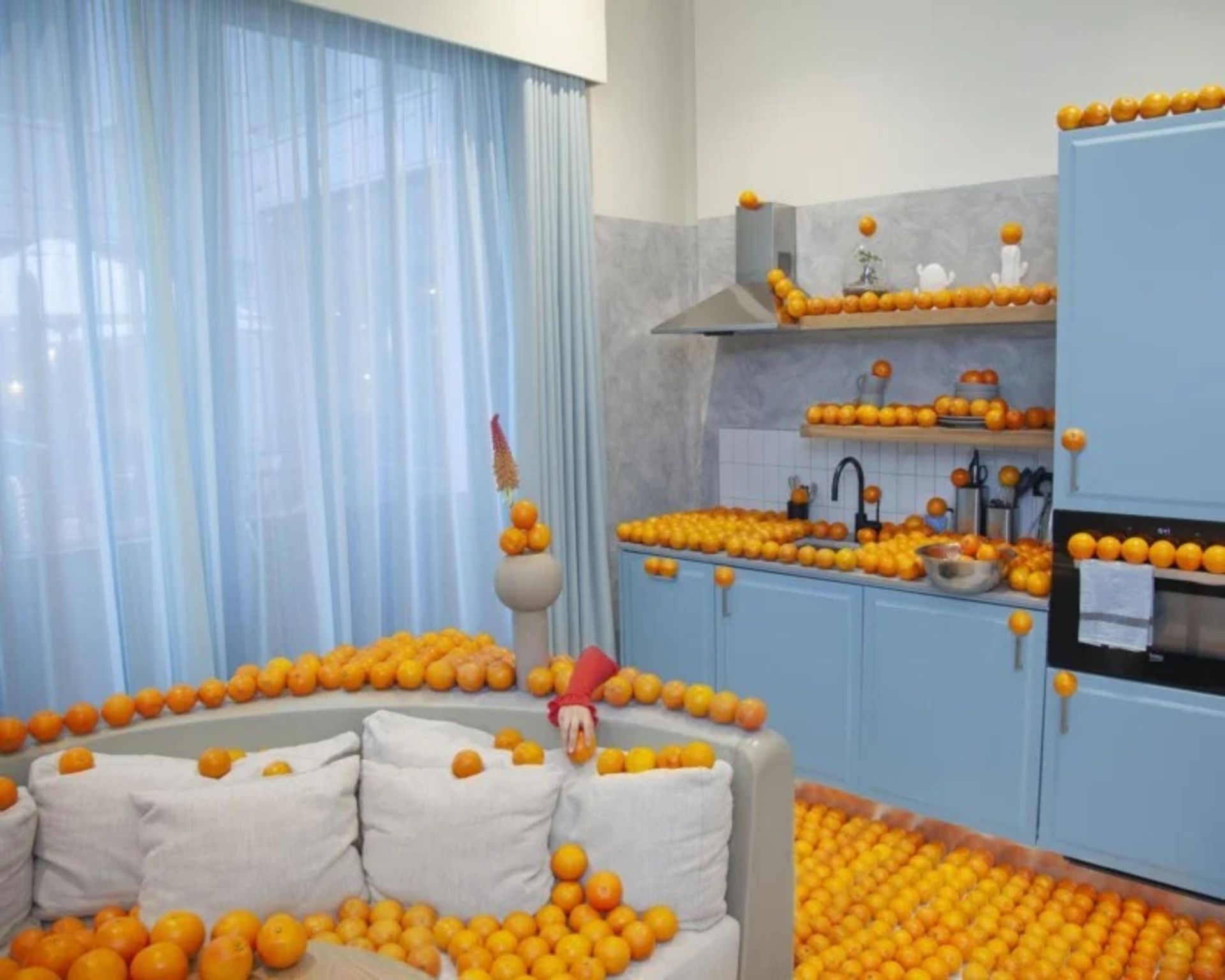 تصویر مورد تحسین در دسته مجموعه