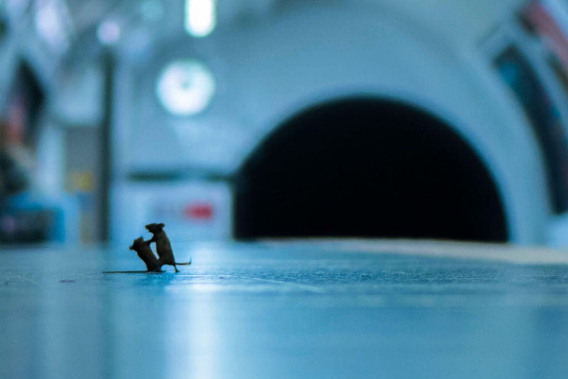 دعوای دو موش در ایستگاه متروی لندن