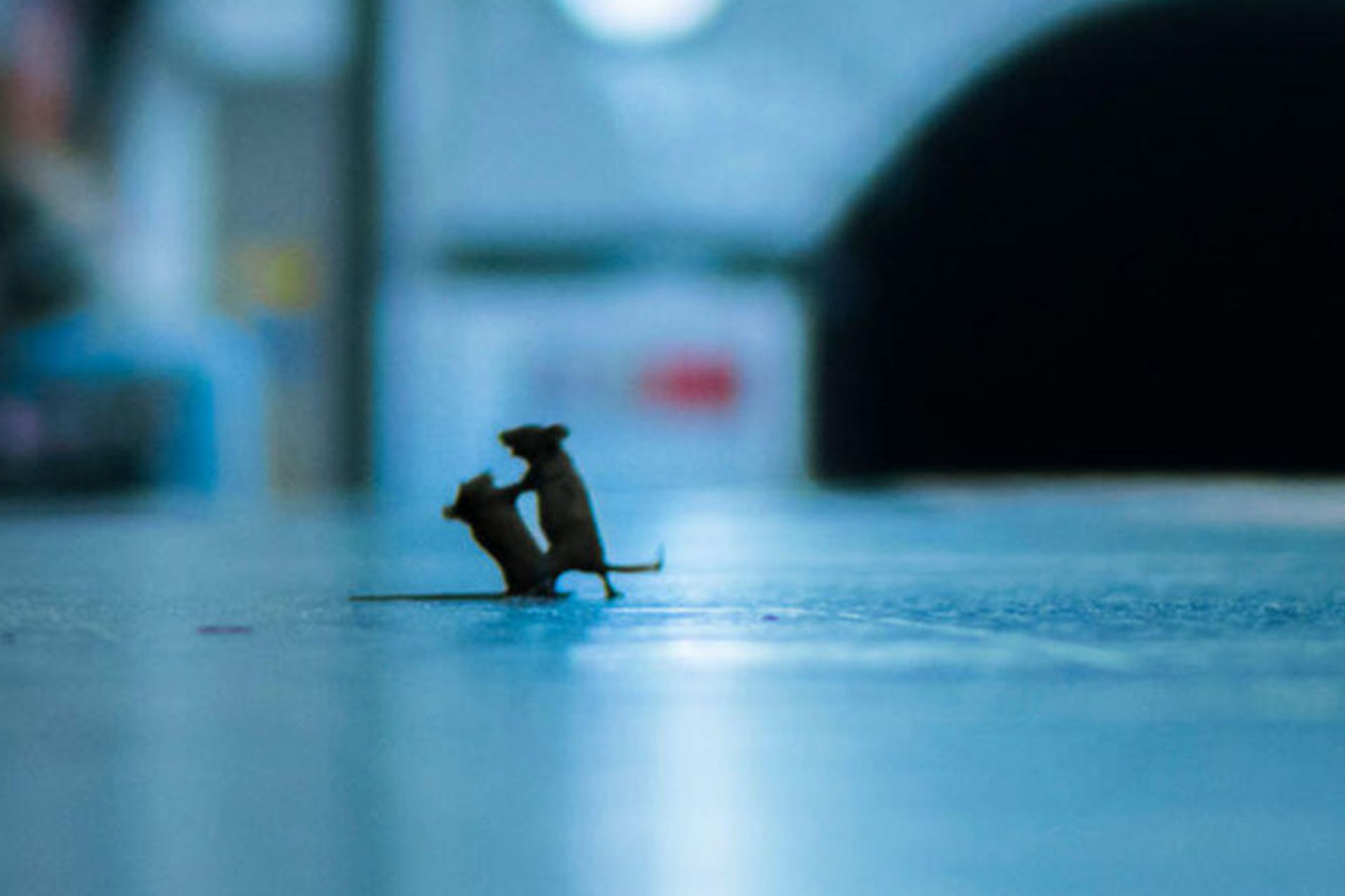 دعوای دو موش در ایستگاه متروی لندن