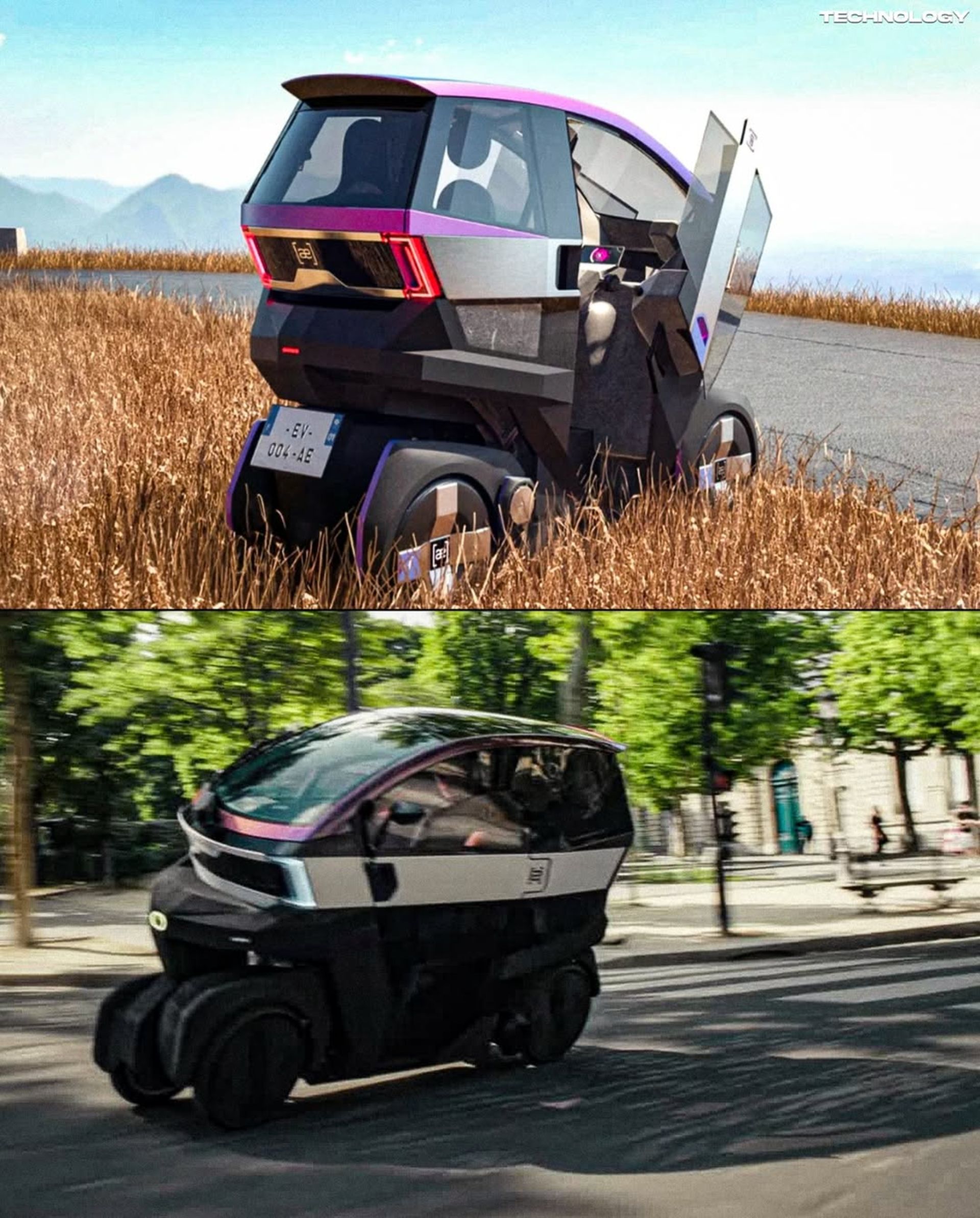 نمای جلو و عقب میکروکار ایموشن در طبیعت