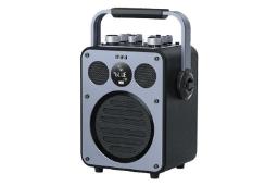 اسپیکر میفا Mifa M100