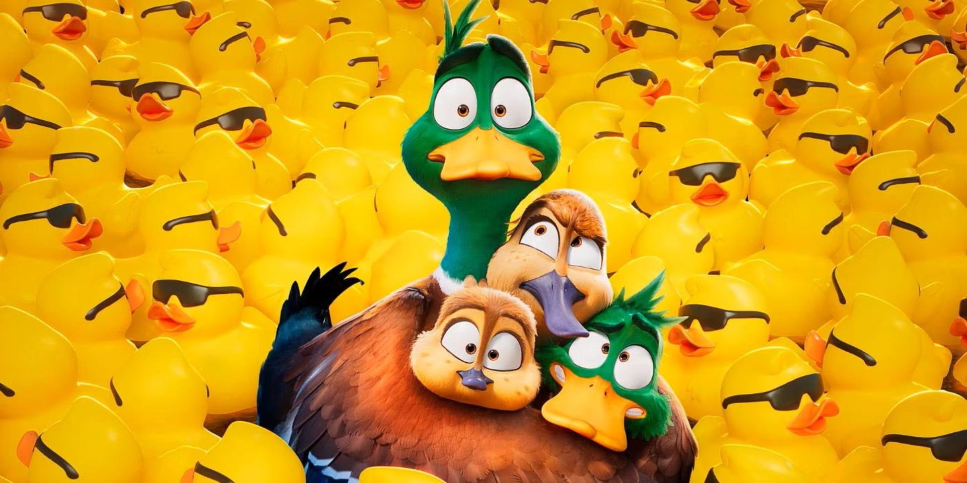 تهران پروژکتور