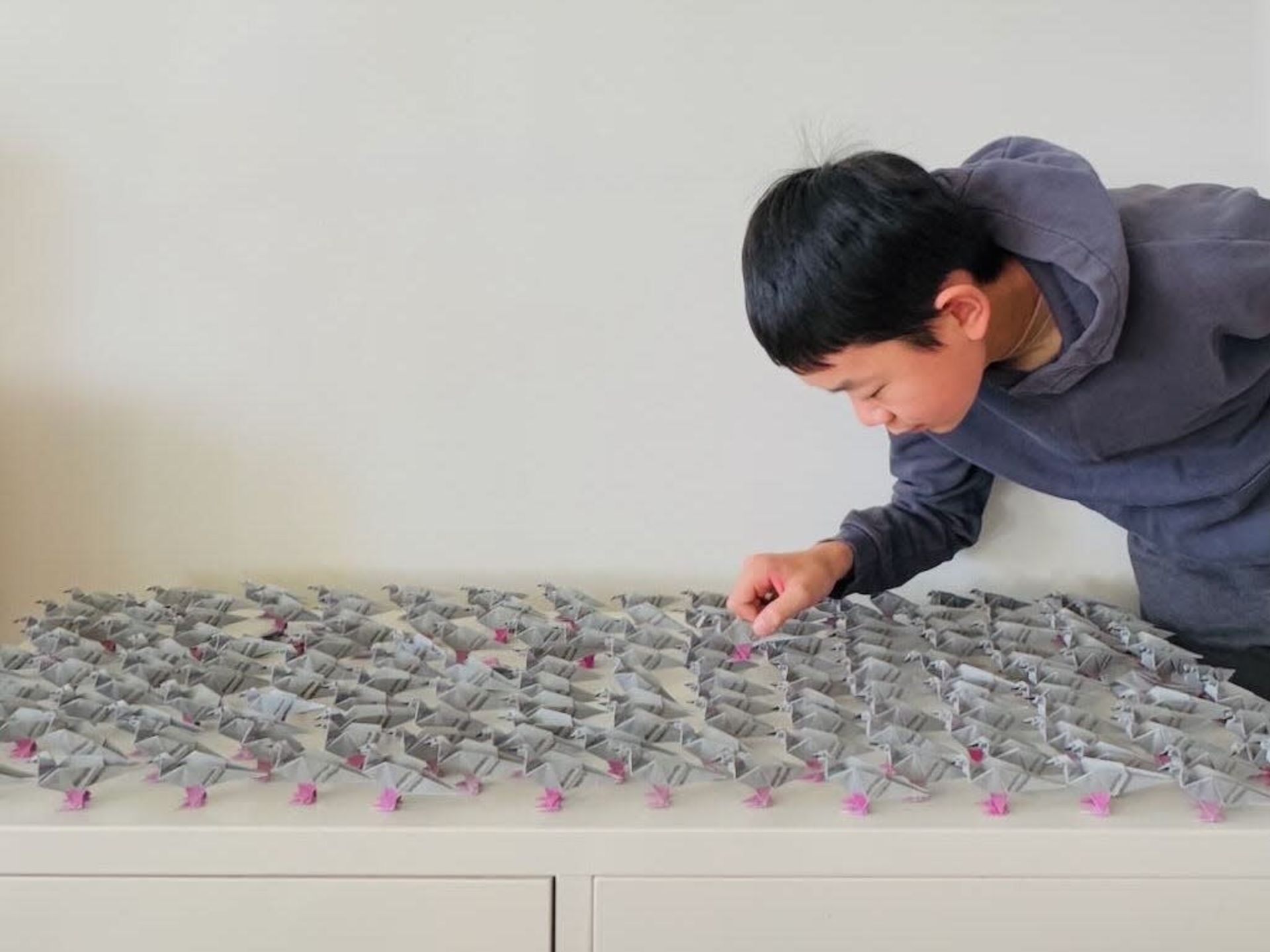 مایلز وو درحال مرتب کردن اوریگامی‌های خود