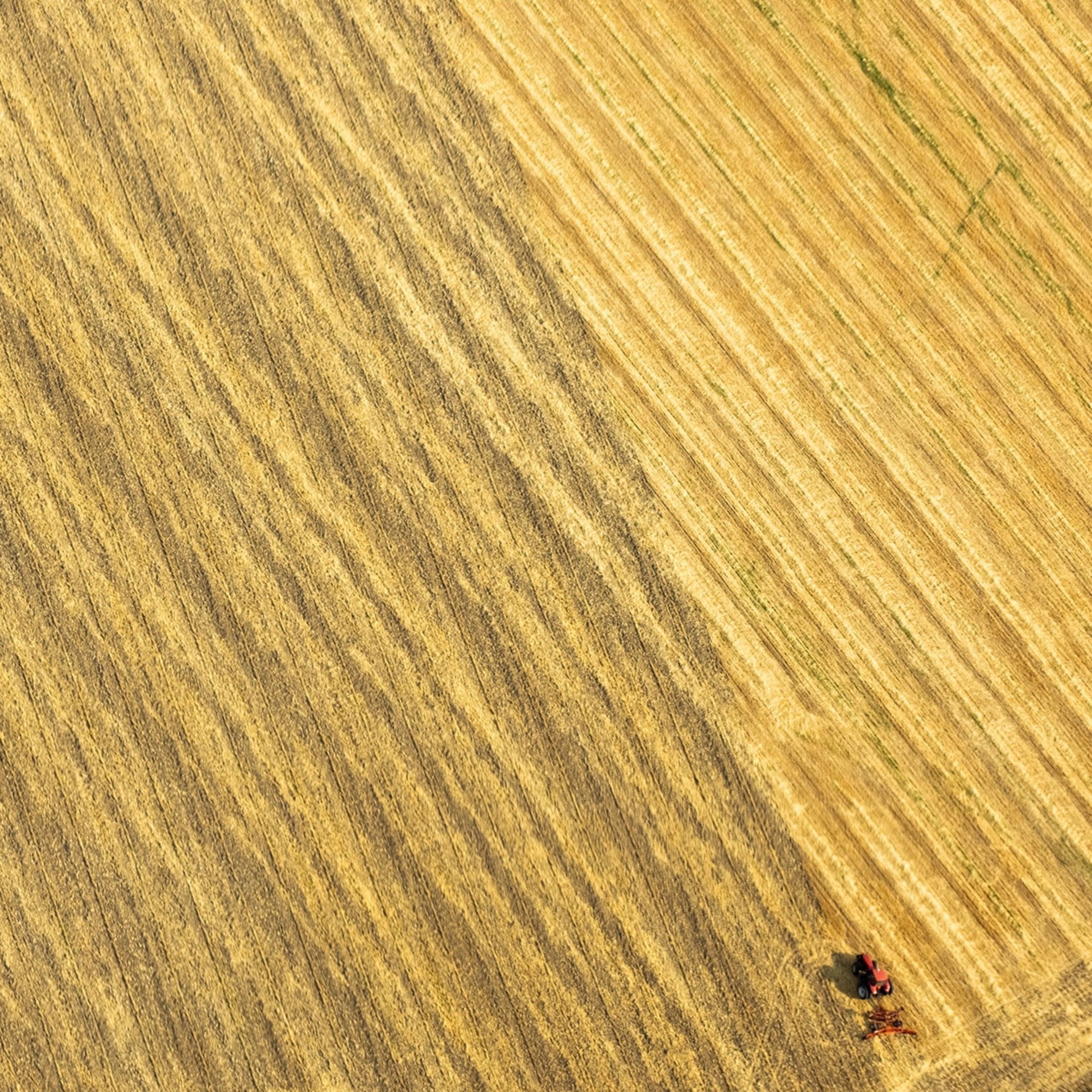 تراکتور در حال کار در زمین زراعی آمریکا