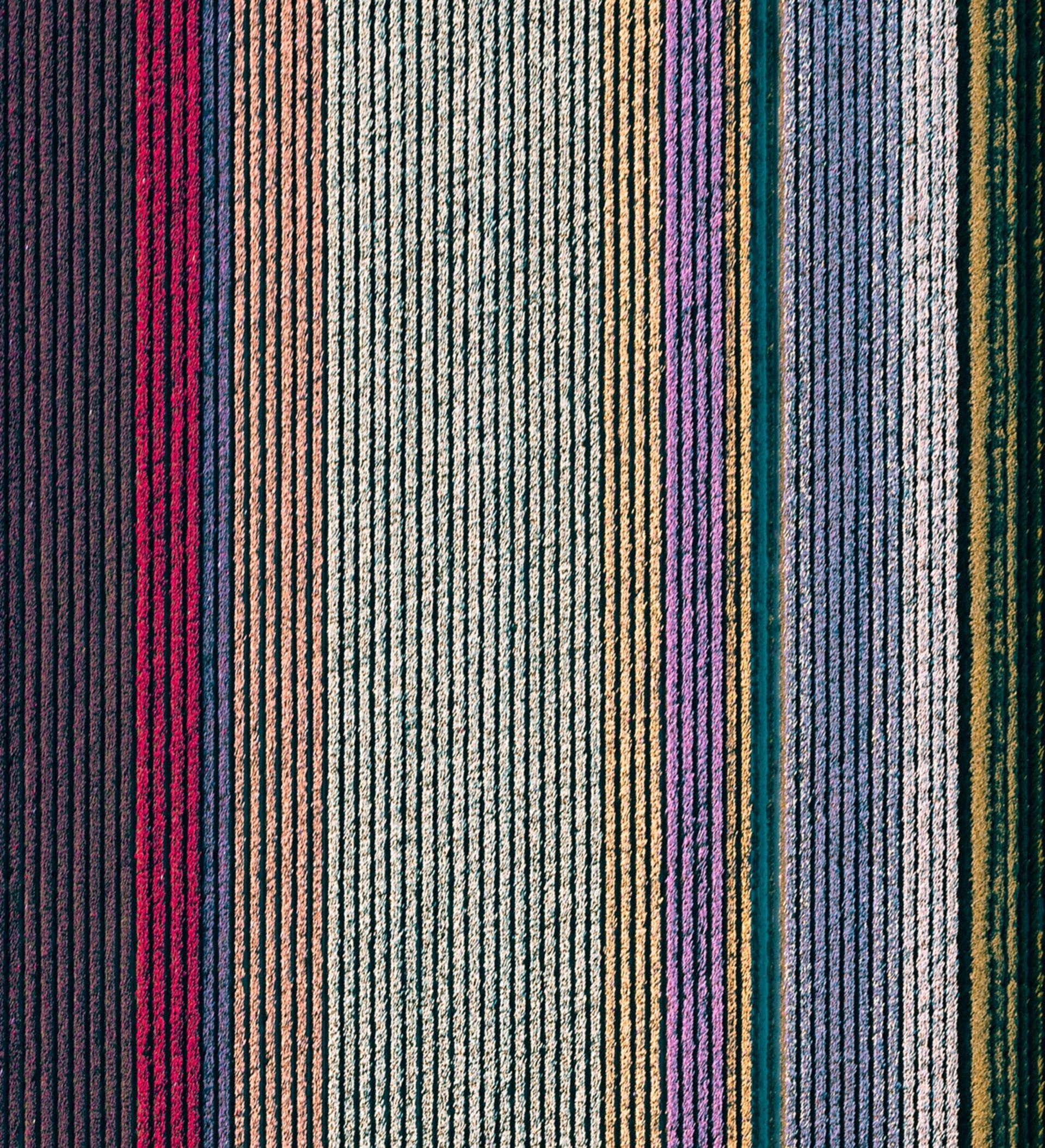 زمین کشاورزی رنگارنگ آمریکا