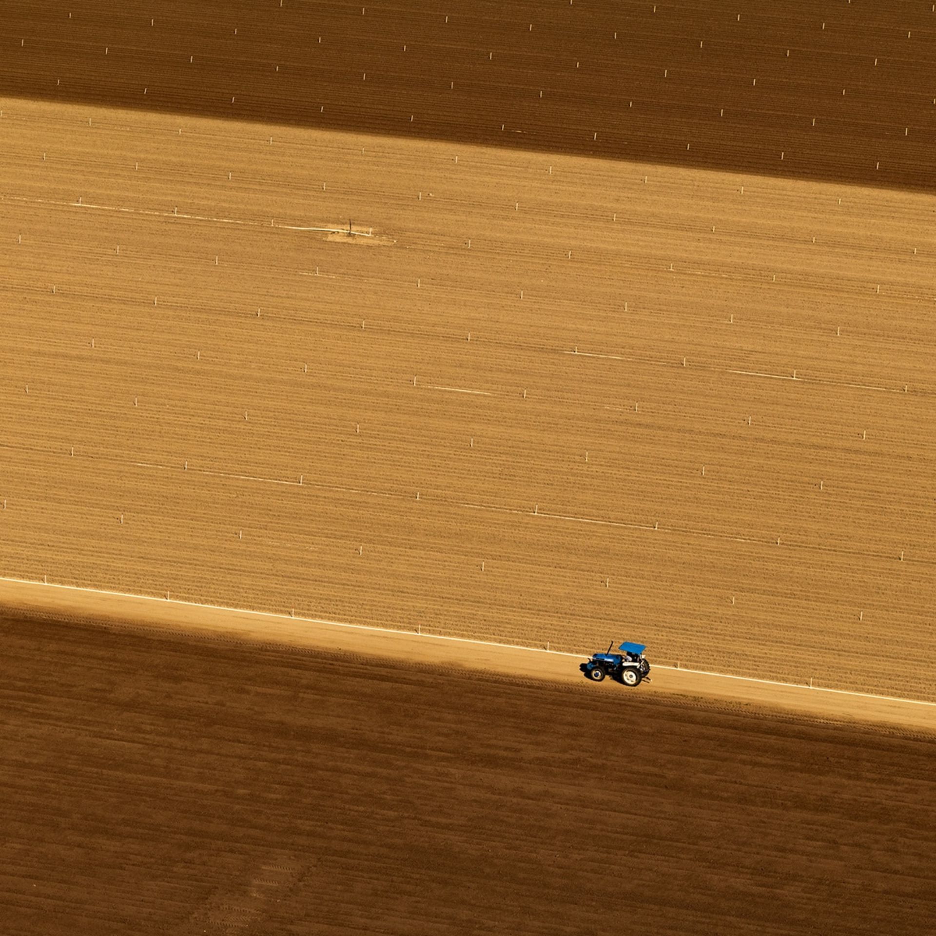 تراکتور در زمین زراعی آمریکا