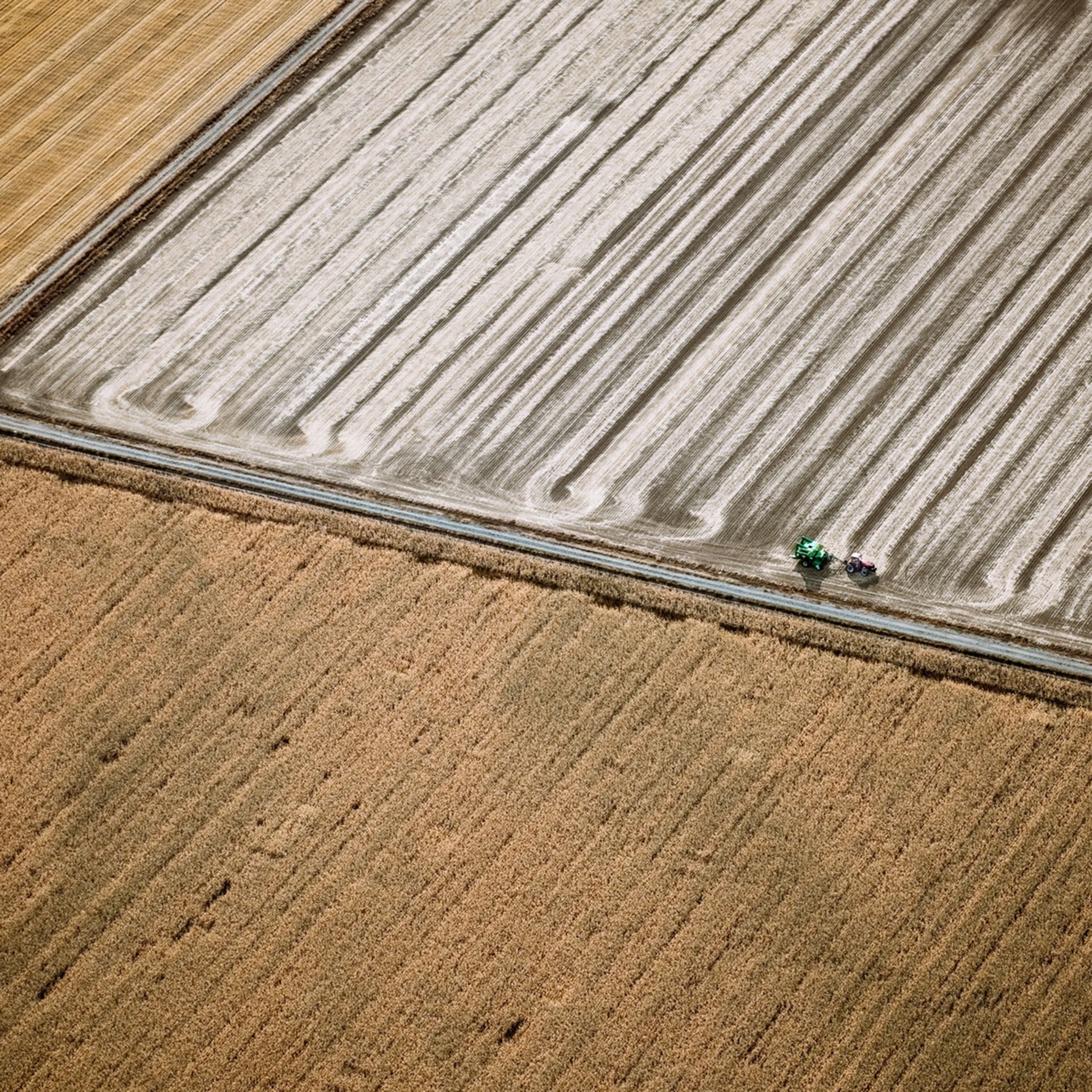 تراکتور در حال شخم زدن زمین کشاورزی