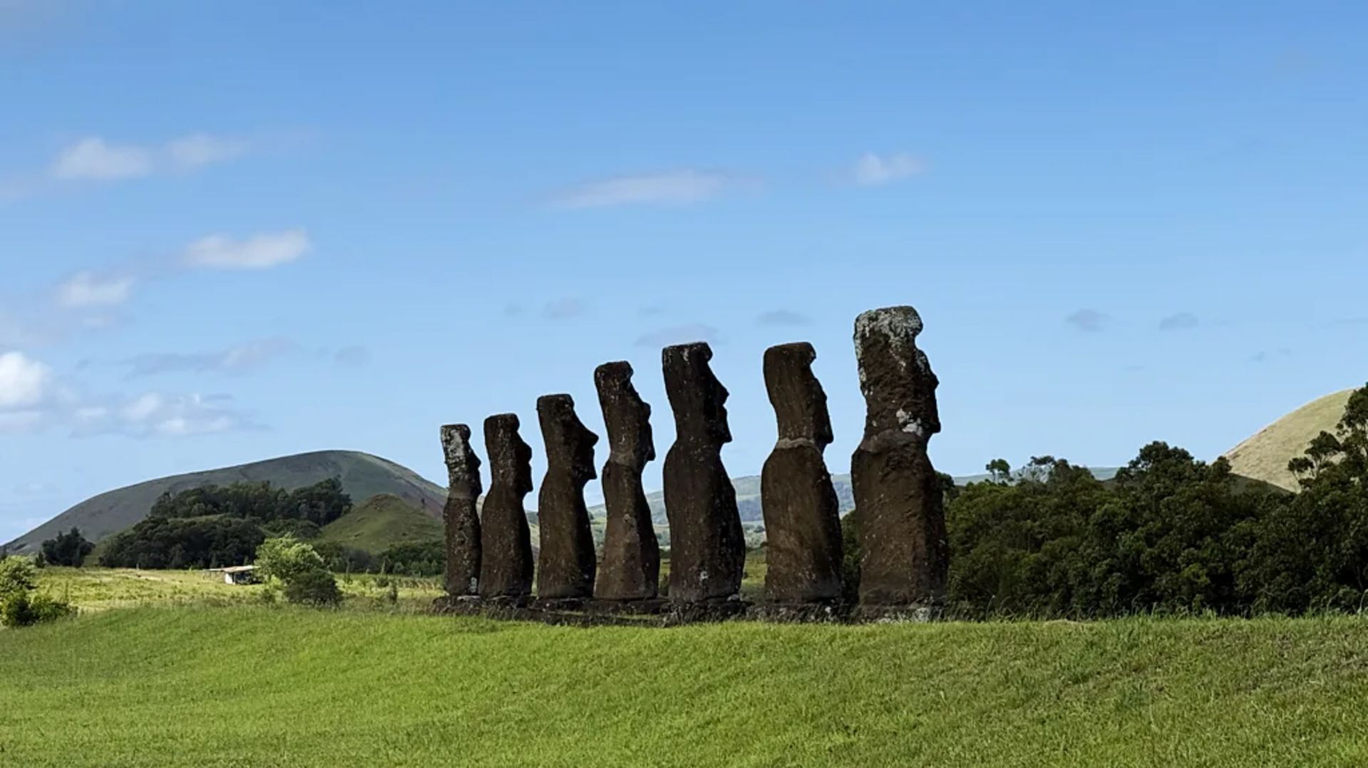 فیگورهای سنگی موآی