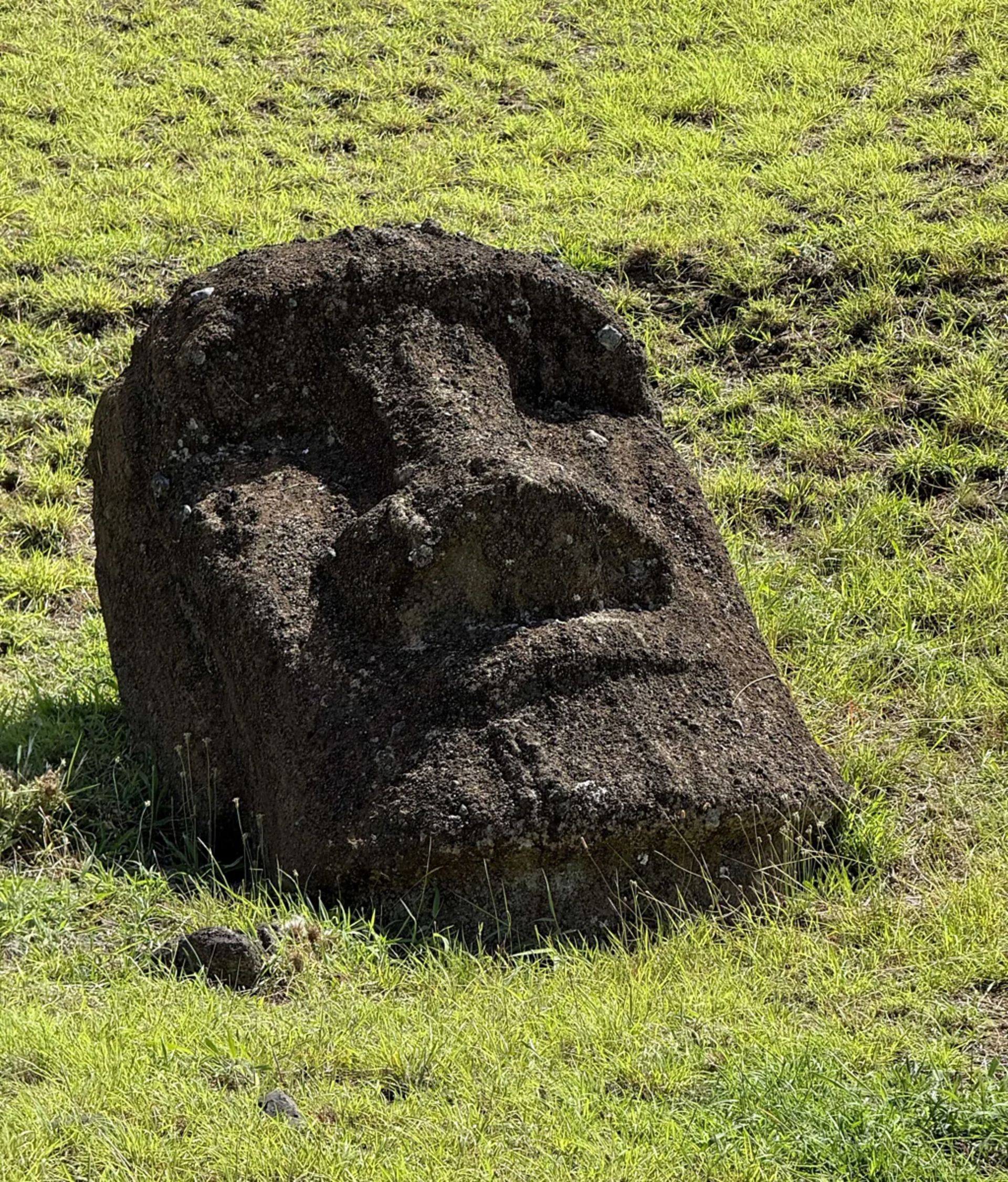 مجسمه موآی از نزدیک