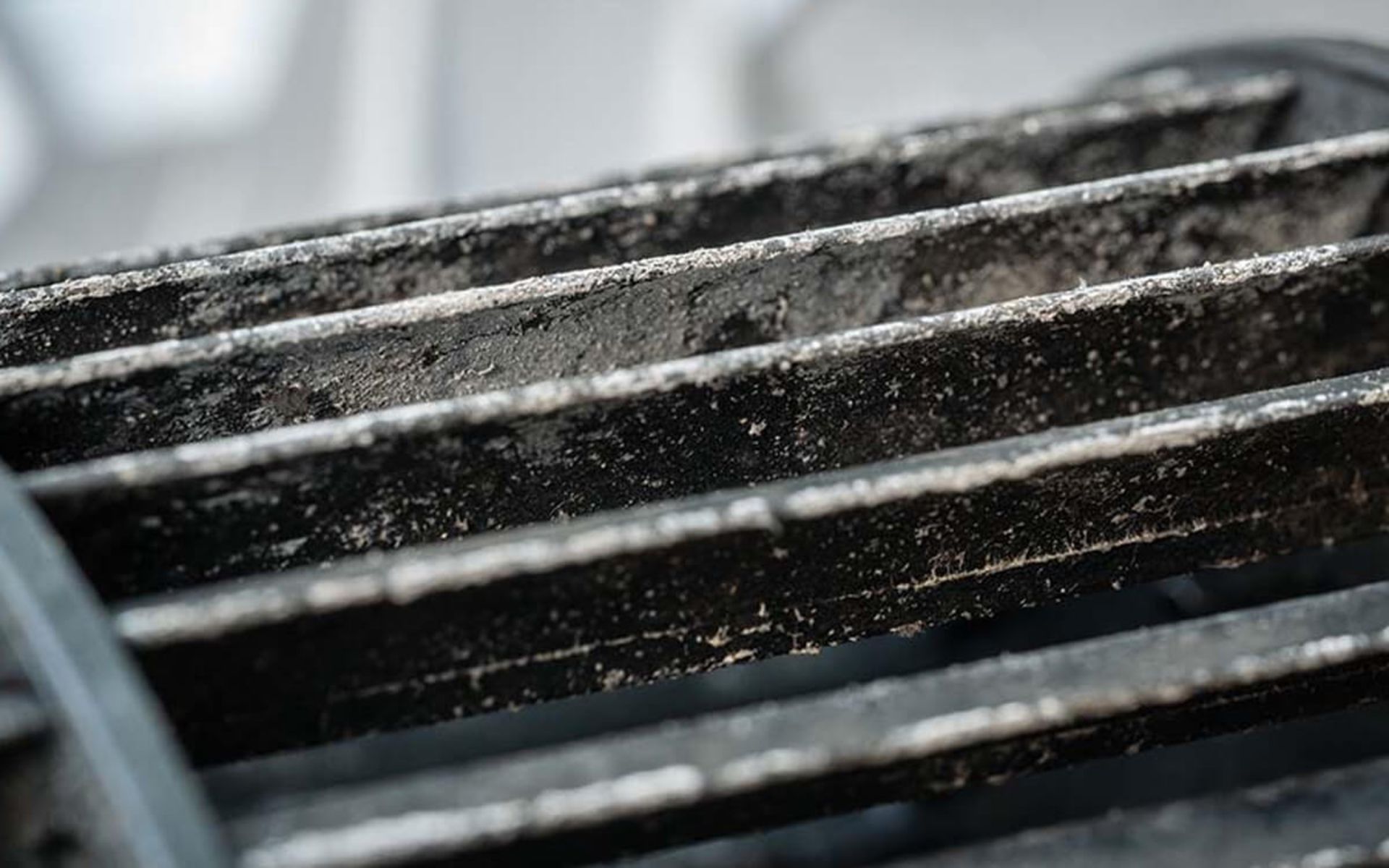 رشد کپک در کولر گازی پنجره‌ای