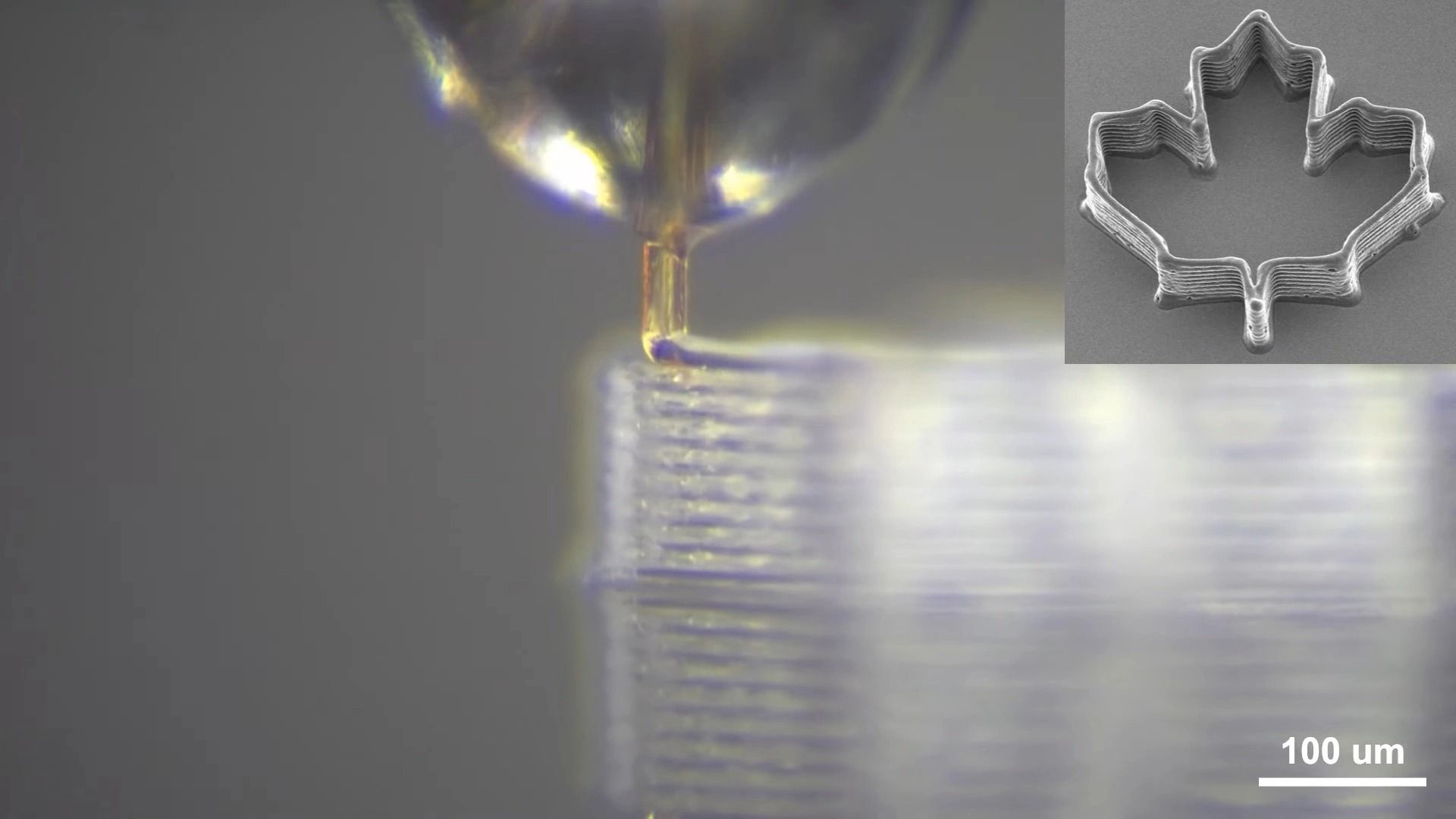 نیش پشه در دستگاه چاپ سه‌بعدی نمای نزدیک