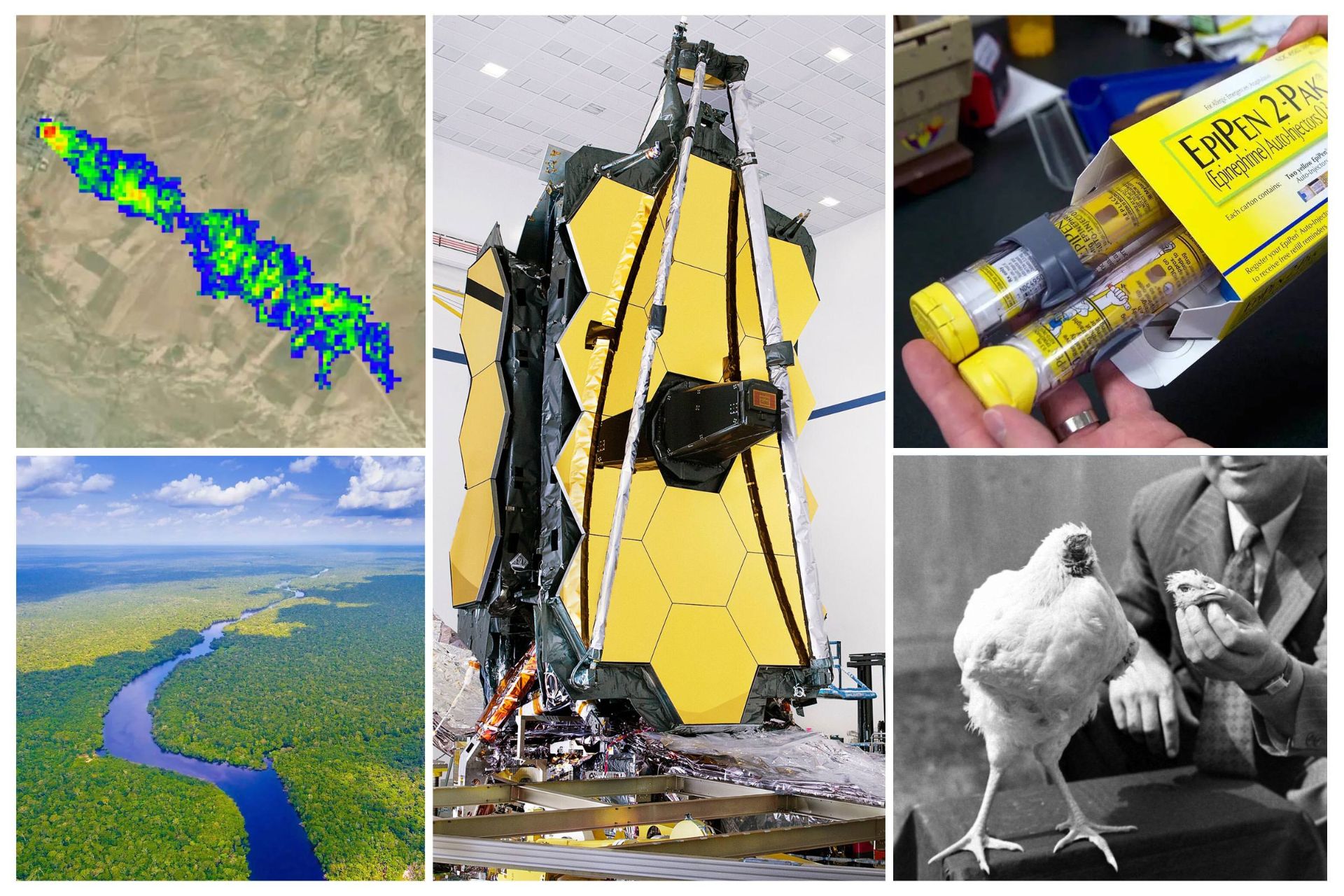 کلاژ تصاویر ابر متان و رودخانه آمازون و تلسکوپ جیمز وب و داروی اپی‌پن و مرغ بی‌سر