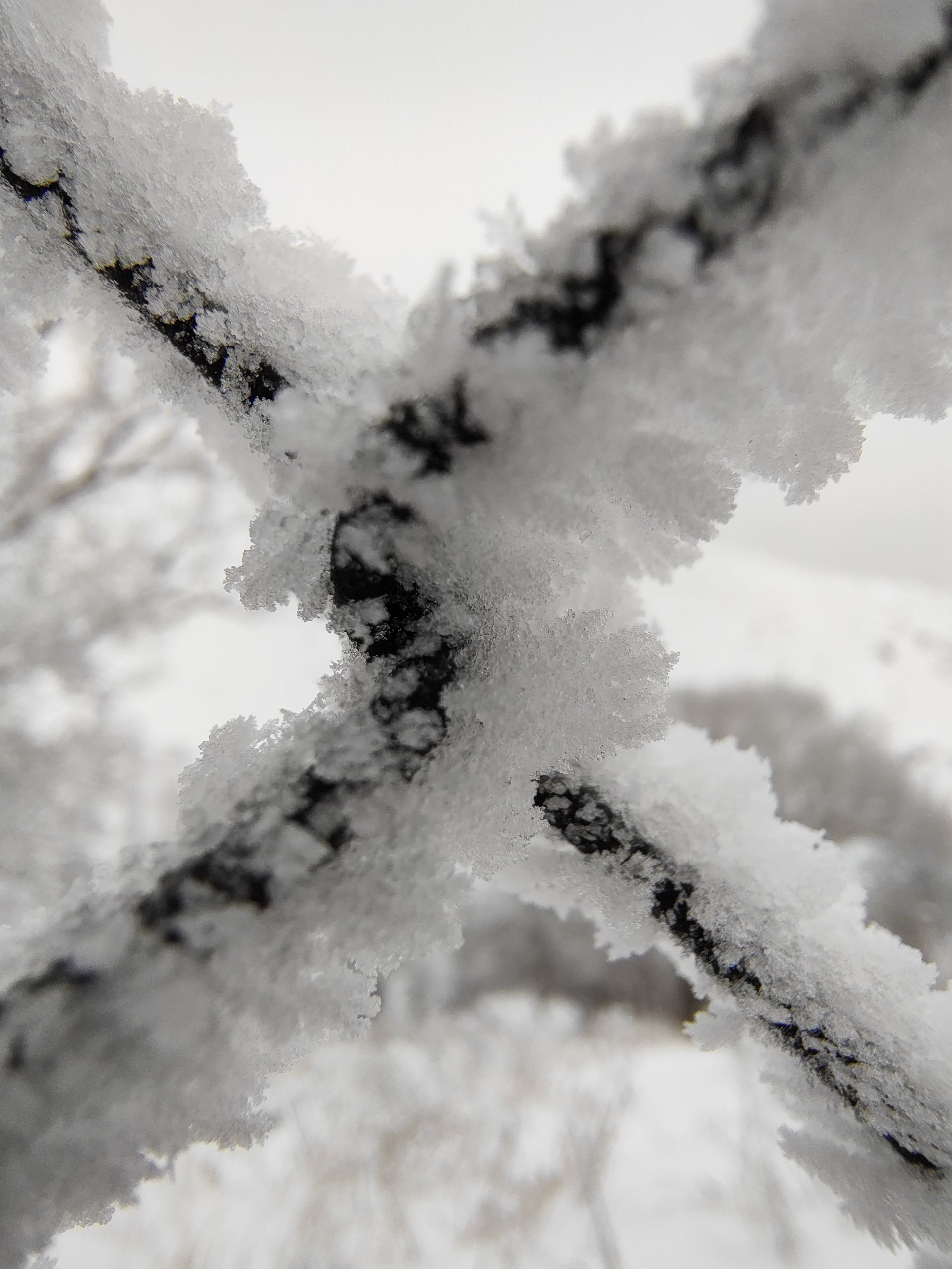 عکس ماکرو موتورولا اج ۳۰ فیوژن از برف