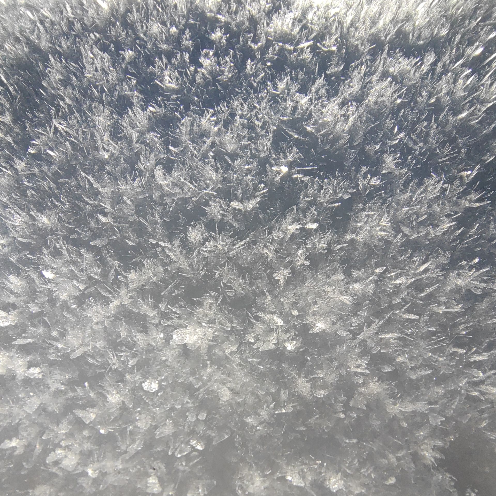 عکس ماکرو موتورولا اج ۳۰ فیوژن از جزئیات برف