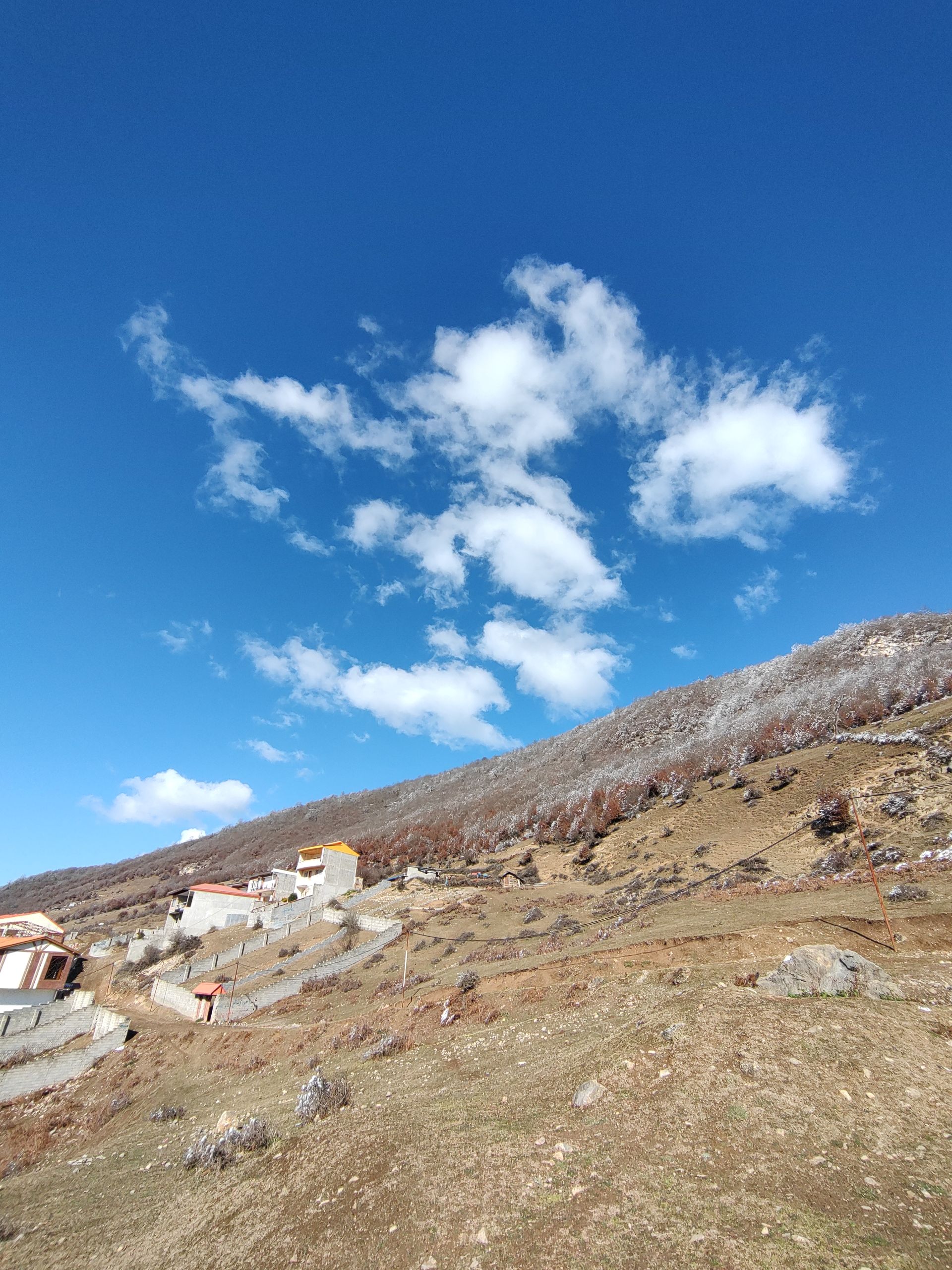 نمونه عکس دوربین اولتراواید موتورولا اج ۳۰ فیوژن از طبیعت