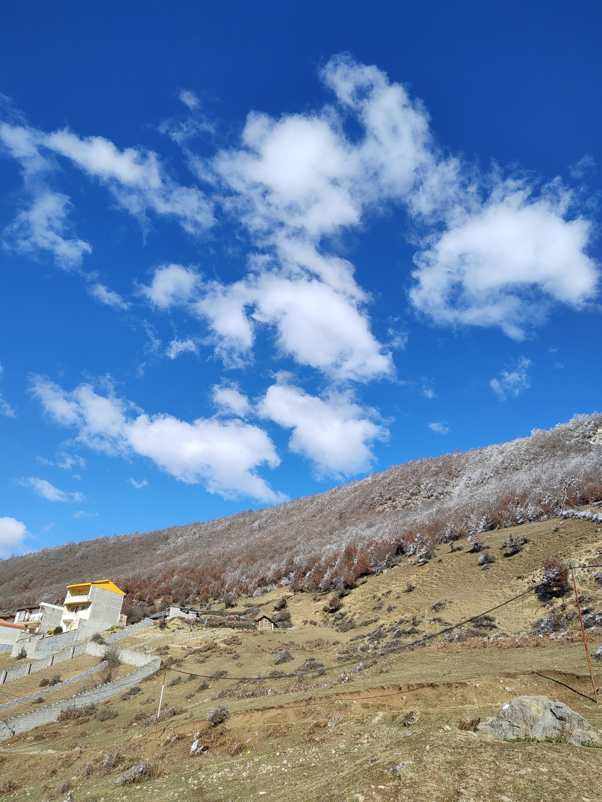 نمونه عکس دوربین واید موتورولا اج ۳۰ فیوژن در طبیعت