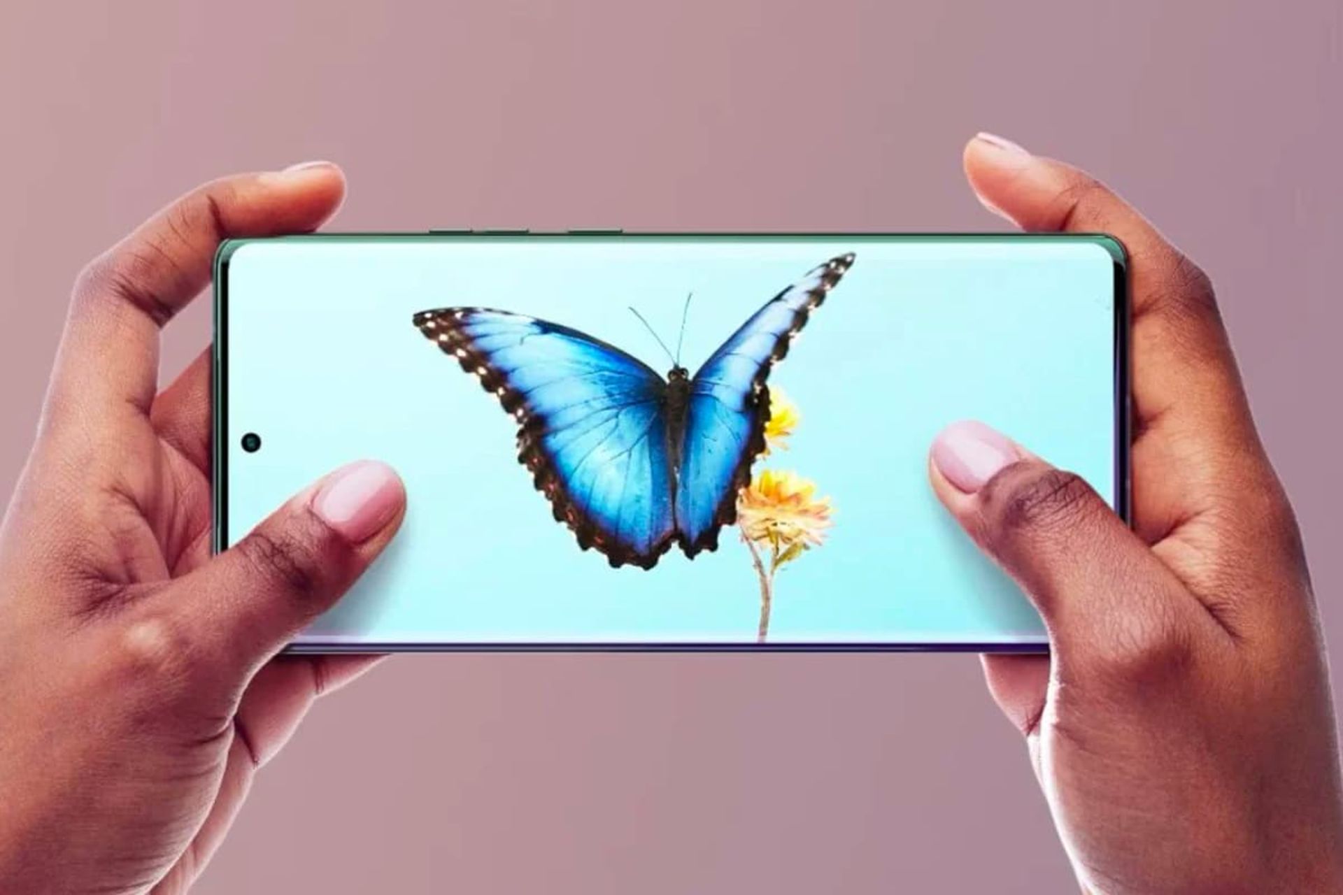 پروانه آبی روی نمایشگر موتورولا اج ۴۰ پرو فاش شده