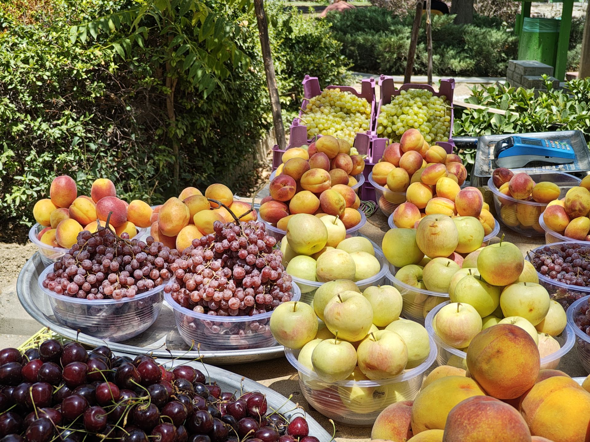 نمونه عکس ریزر ۵۰ اولترا از میوه های تابستانی در فضای بیرونی