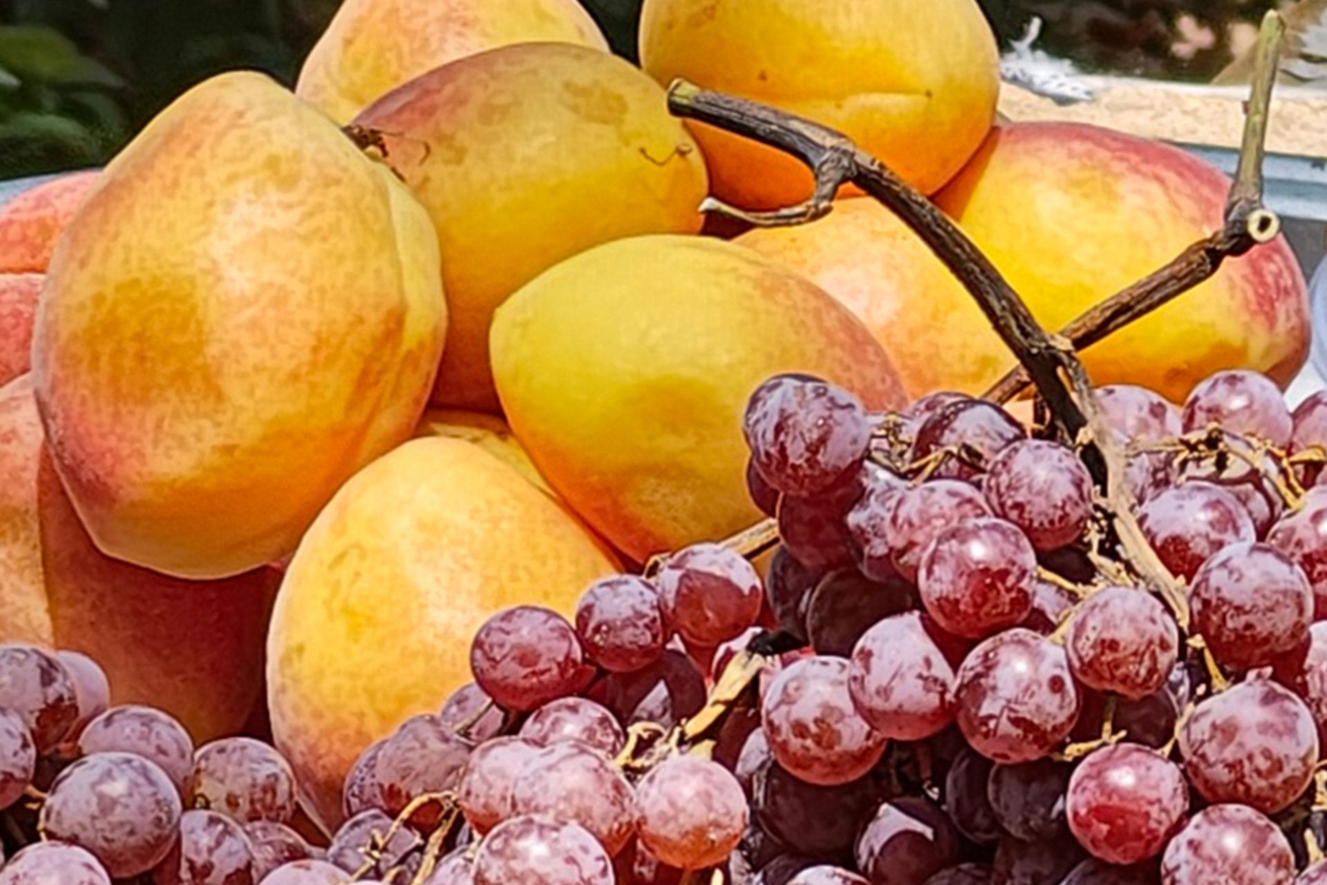 نمونه عکس ریزر ۵۰ اولترا از میوه‌ های تابستانی از نمای نزدیک