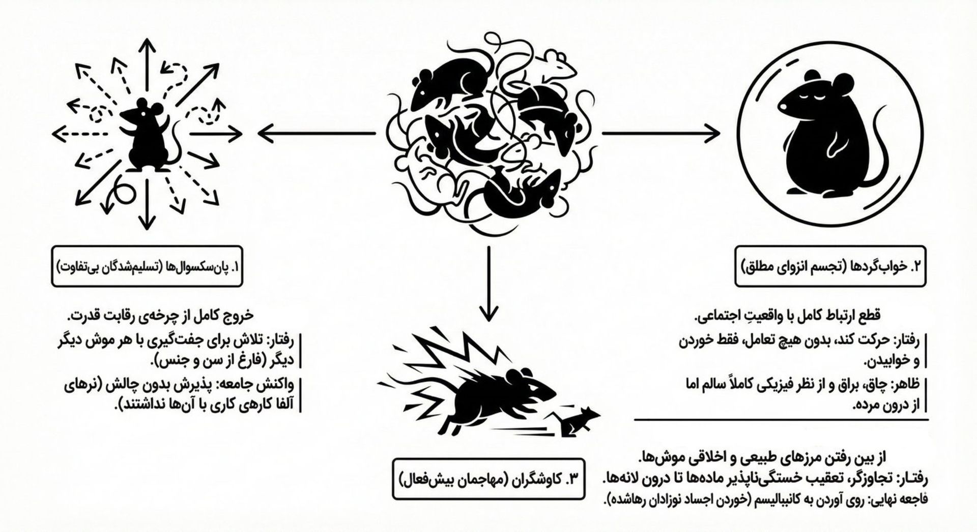 سه گروه موش‌های شکست‌خورده آزمایش دوم کالهون