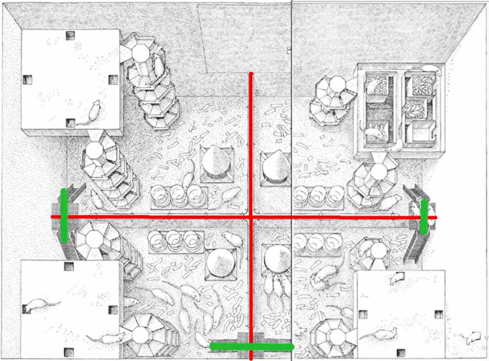 تصویر شماتیک آزمایش دوم کالهون