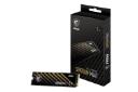 جعبه اس اس دی ام اس آی SPATIUM M461 NVMe M.2 ظرفیت 2 ترابایت