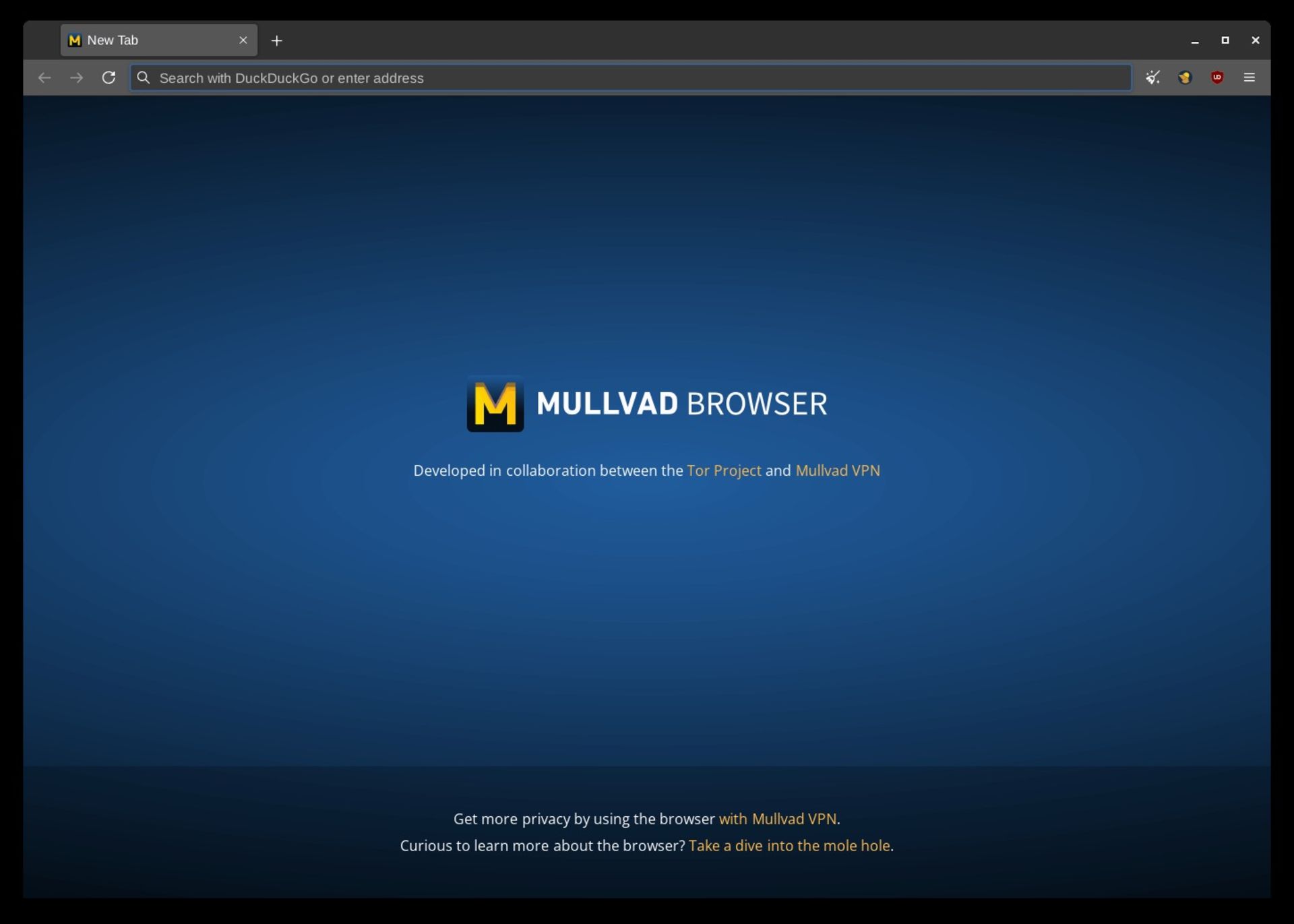 صفحه اصلی مرورگر Mullvad Browser