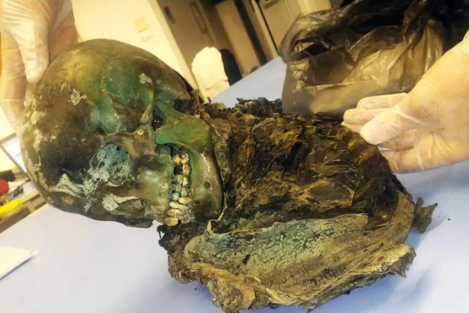 معمای مومیایی مسی ایتالیا؛ چرا جسد این پسر بعد از ۴۰۰ سال سبز شد؟