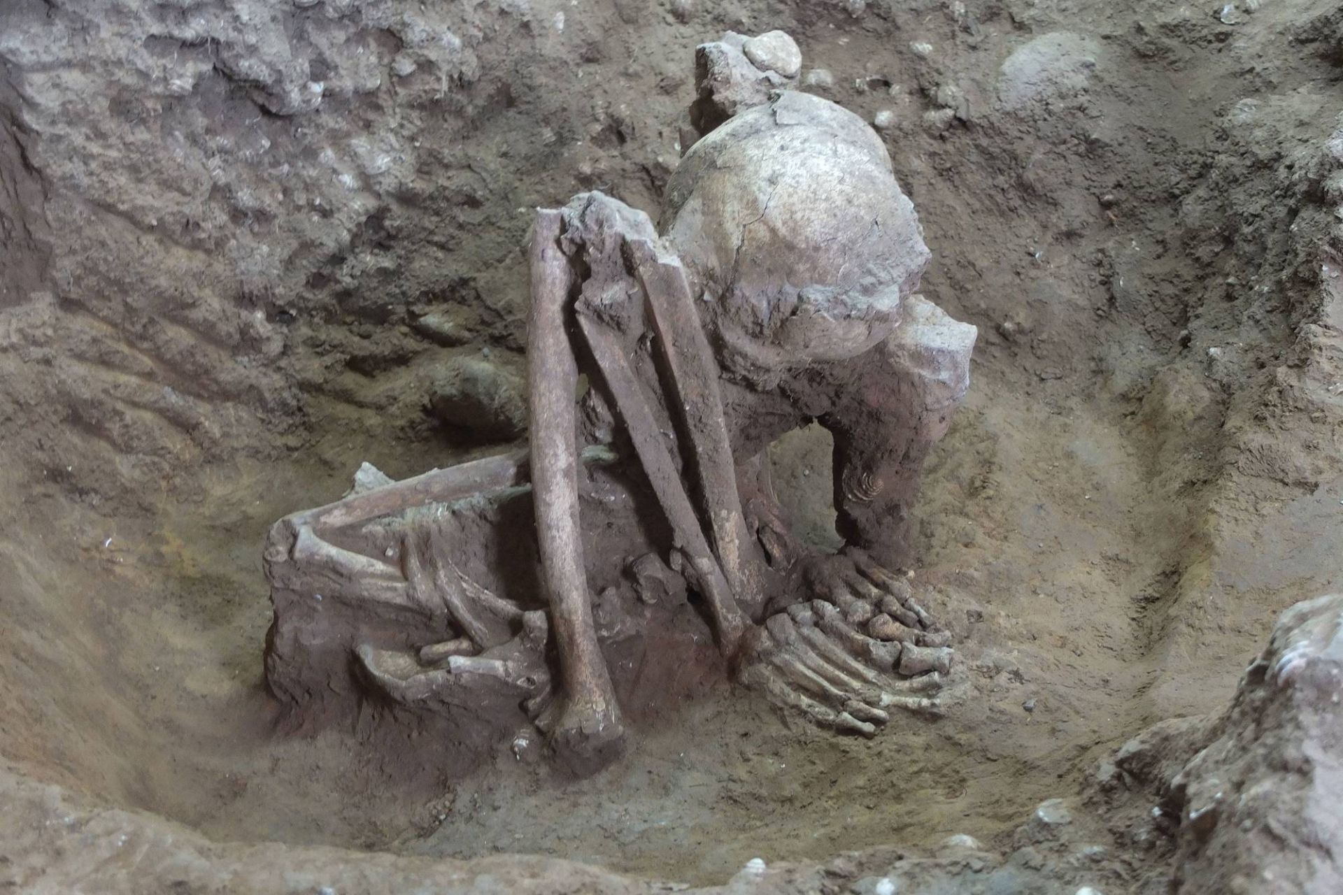 بقایای مومیایی چینی