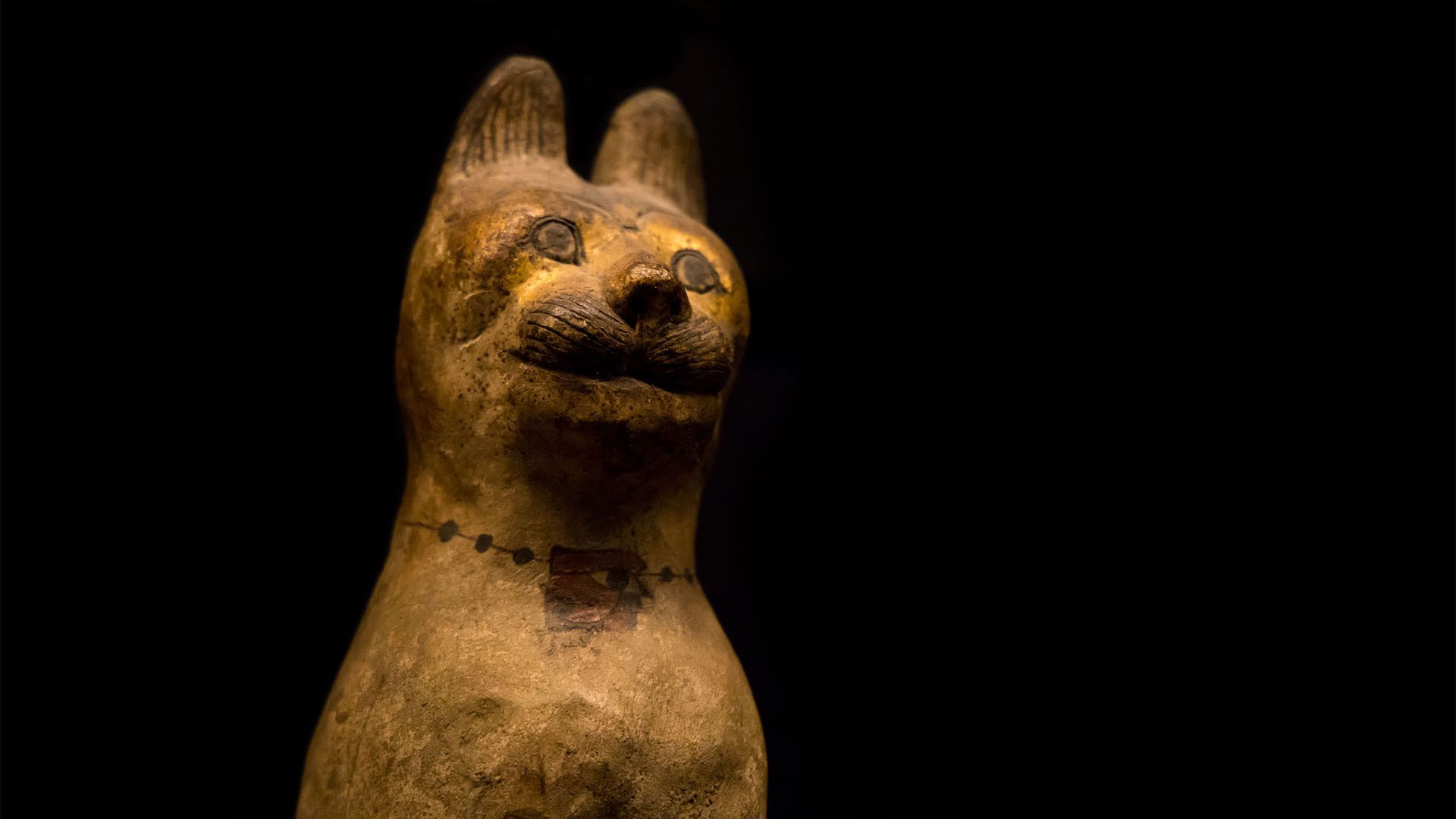 مومیایی گربه در مصر باستان