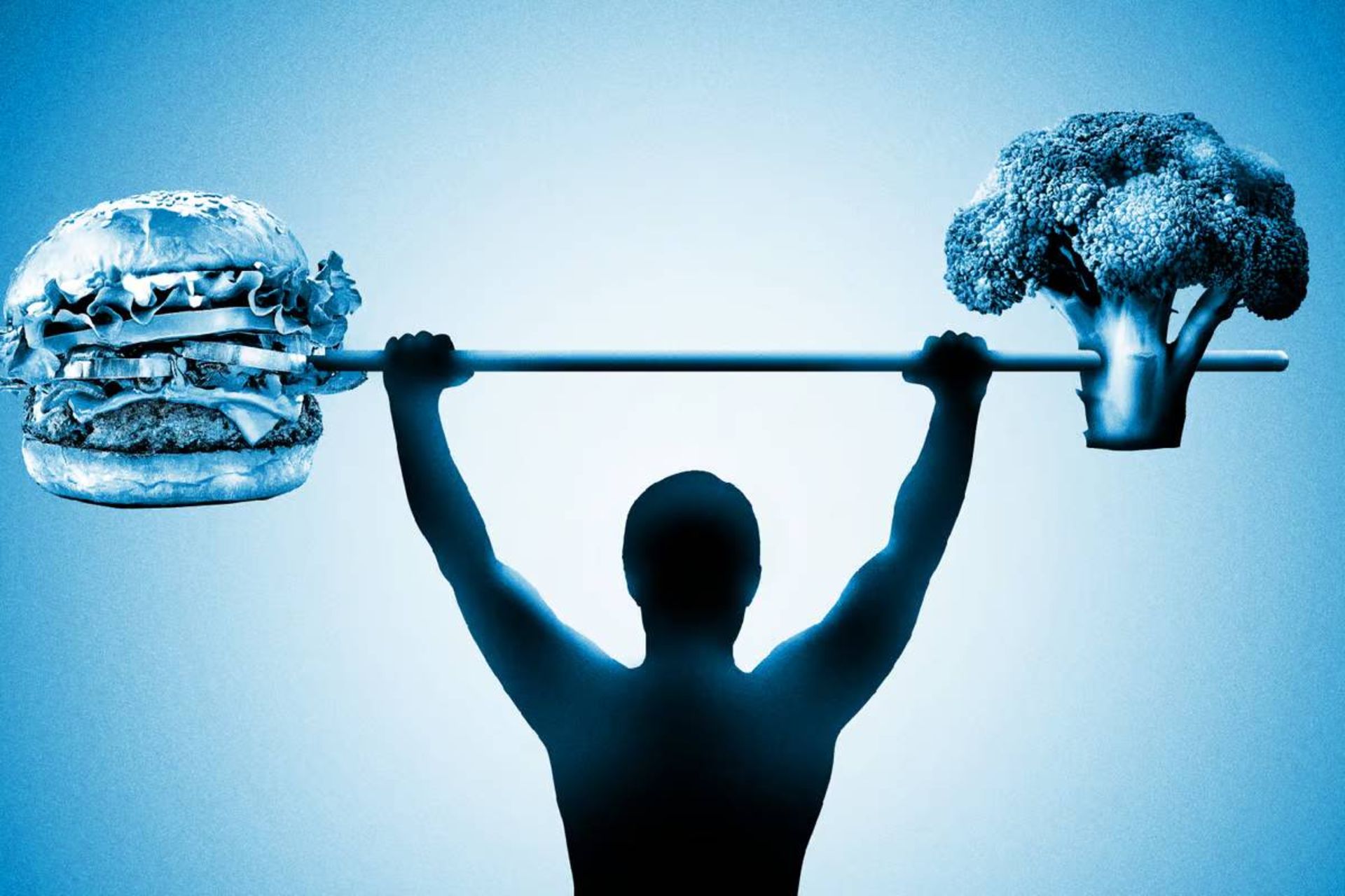 رژیم غذایی و عضله سازی