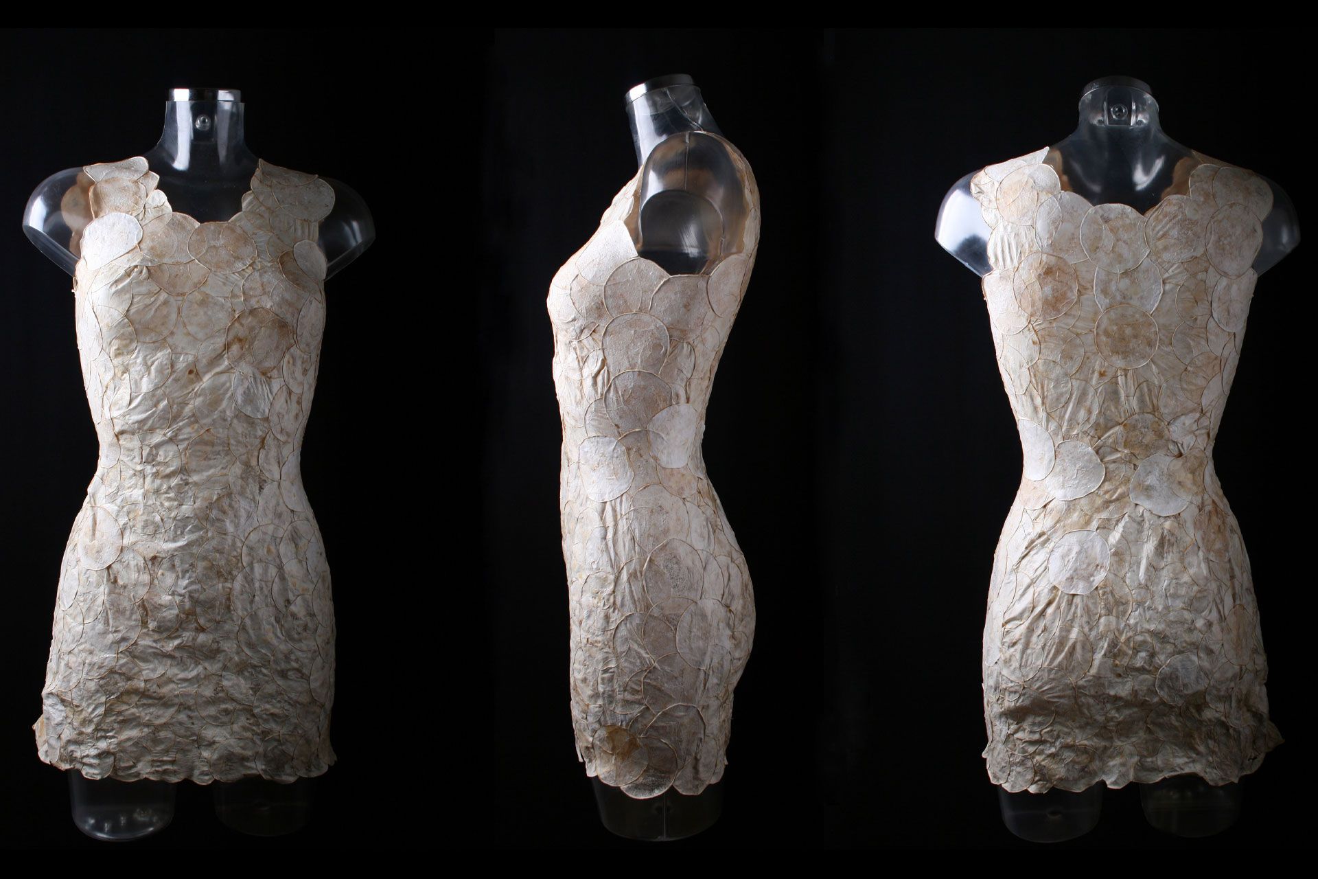 لباس قارچی