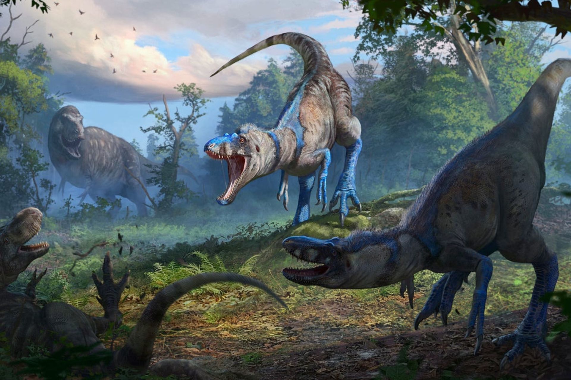 تصویرسازی هنری دوئل نانوتیرانوس و تی رکس