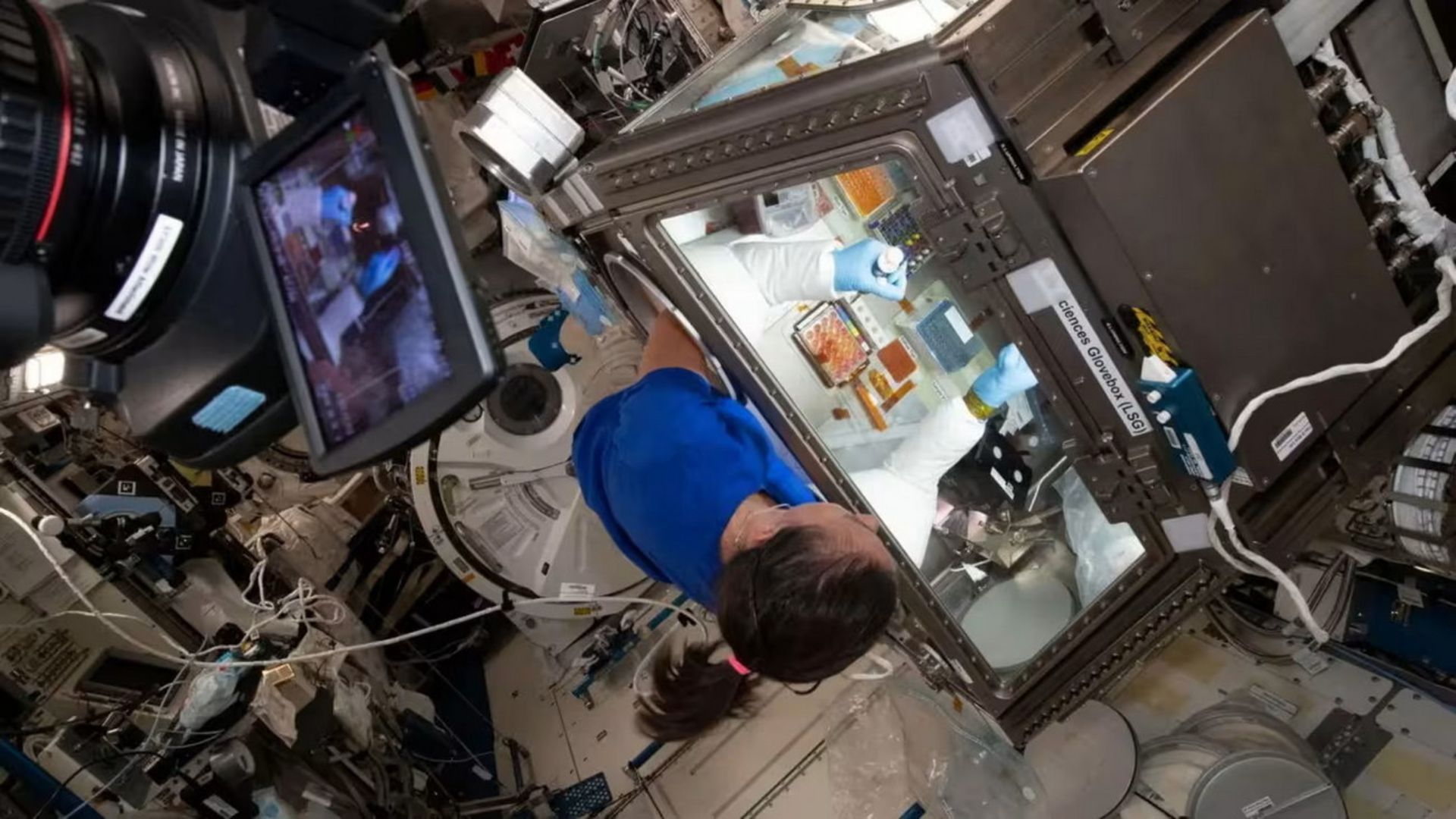 فضانورد ناسا، مگان مک‌آرتور، درون محفظه‌ی محافظ علوم زیستی