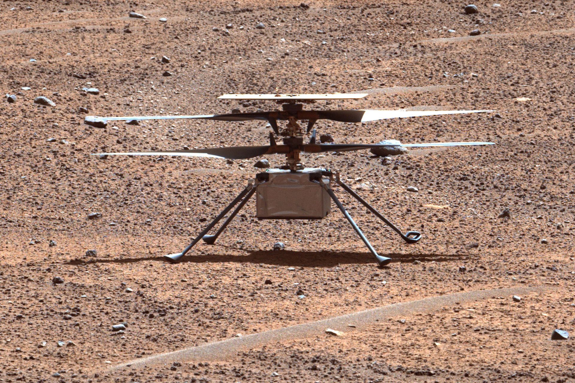 هلی‌کوپتر اینجنیوتی ناسا روی مریخ