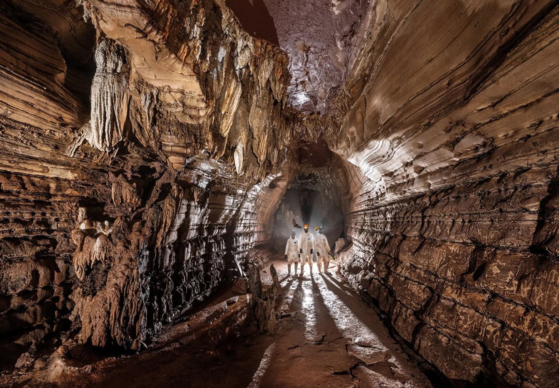 نشنال جئوگرافیک ۲۰۲۴