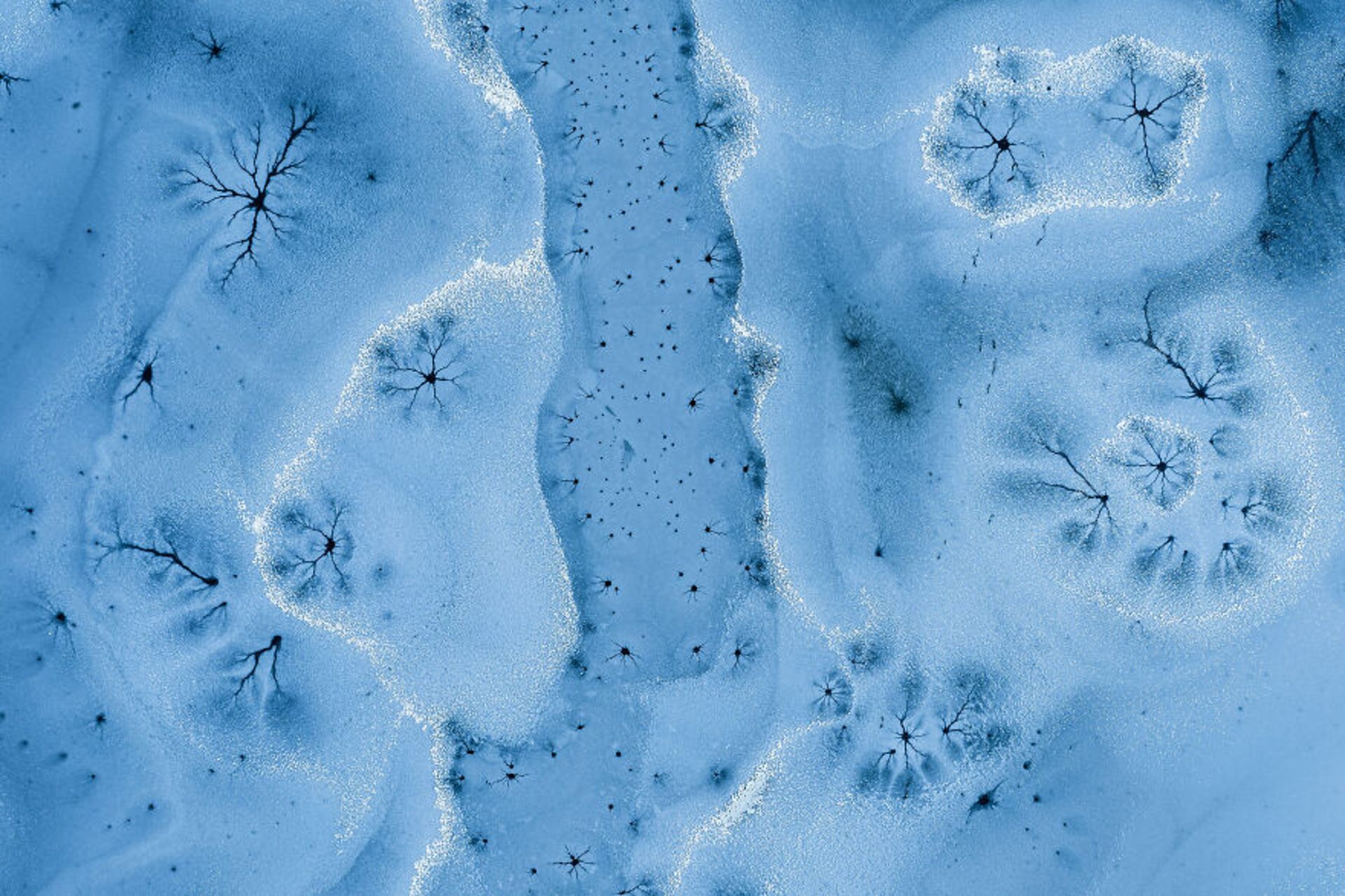 زمین برفی یخ‌زده نمای بالا