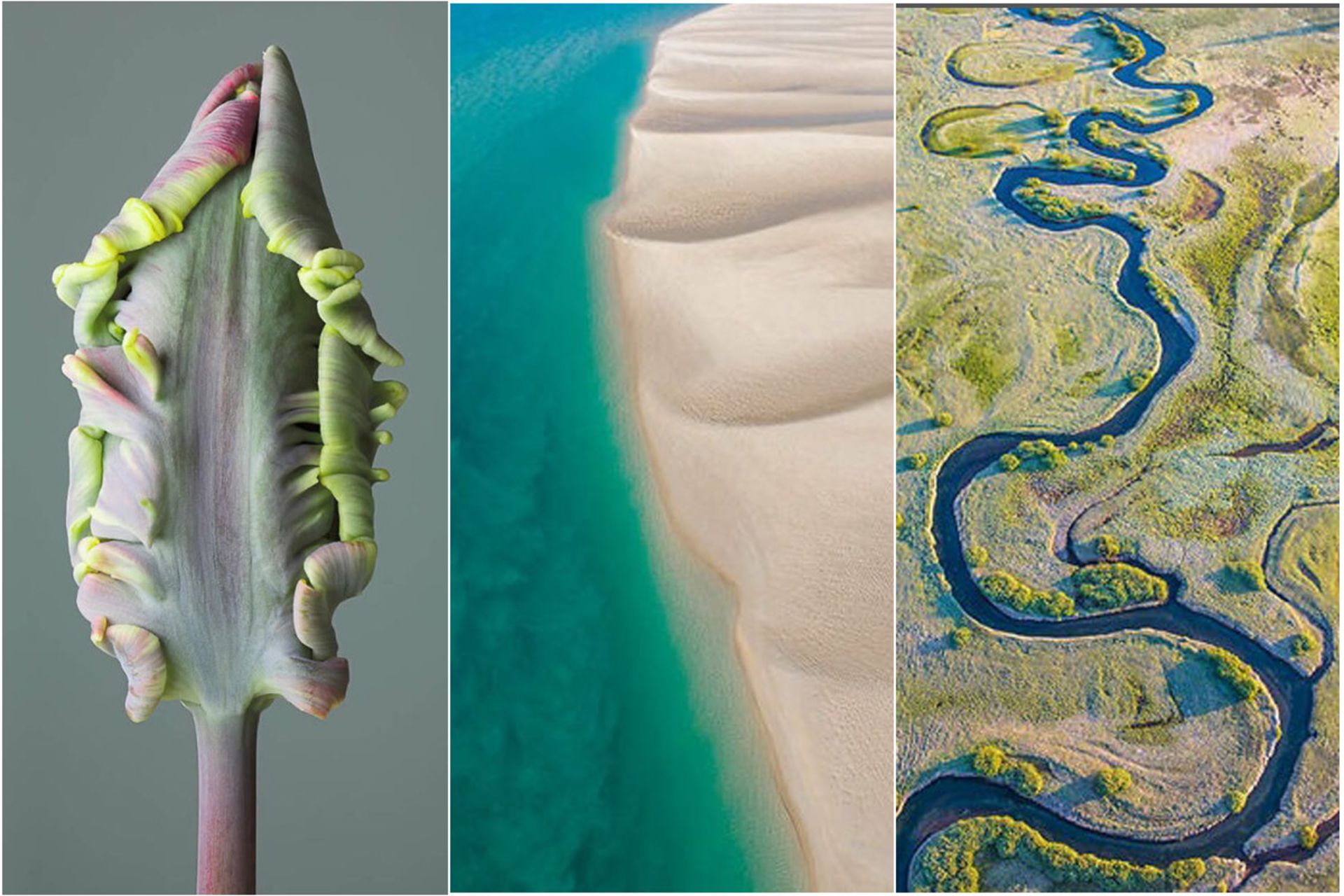 جوایز عکاسی Fine Art Photography Awards 2025