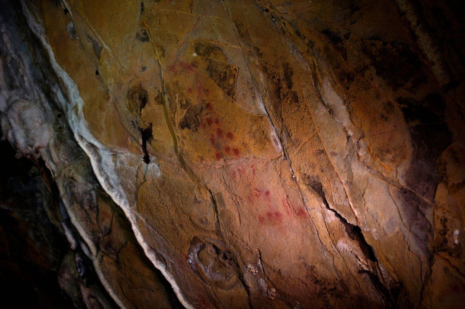 نقاشی غار نئاندرتال
