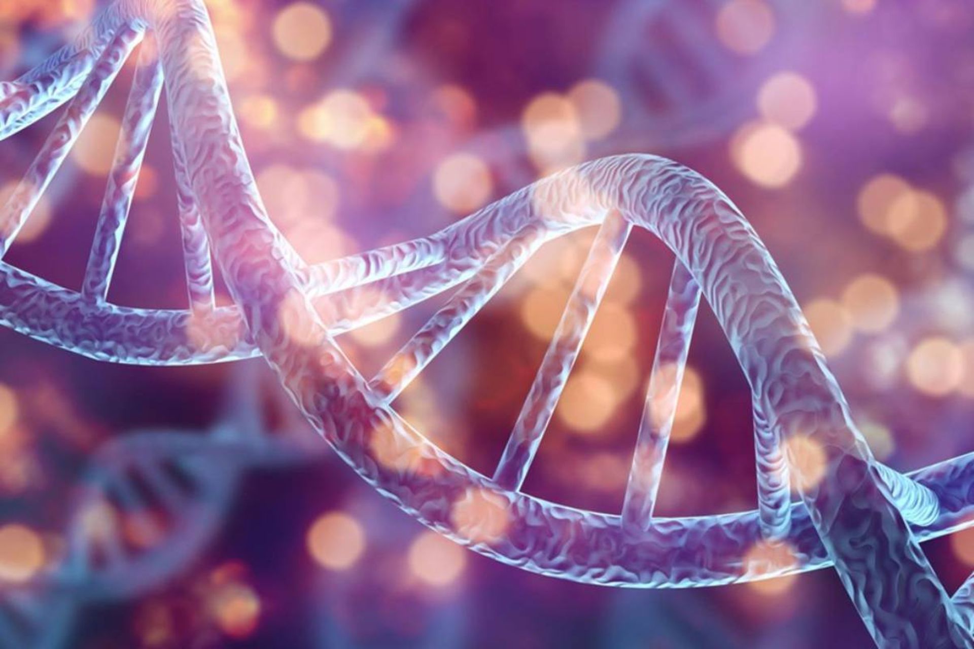 دی‌ان‌ای نئاندرتال