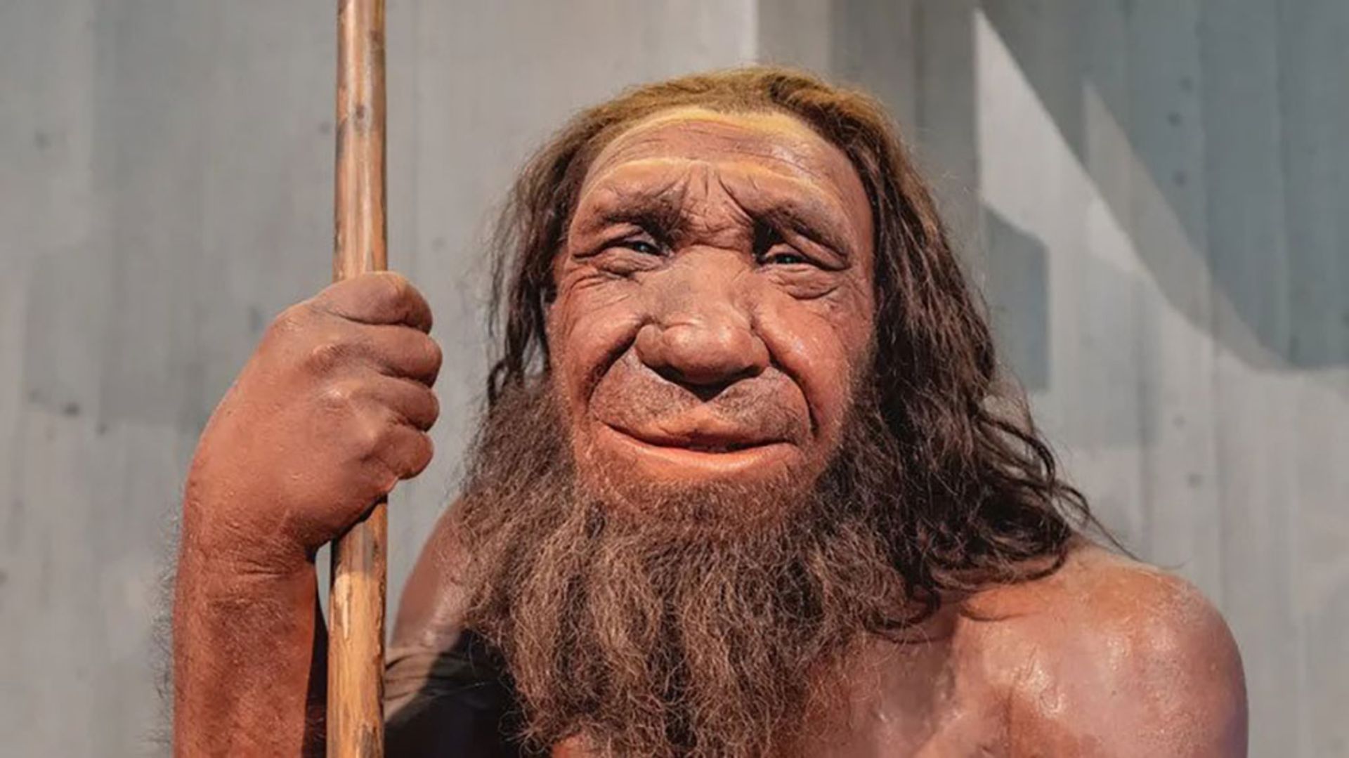 انسان نئاندرتال