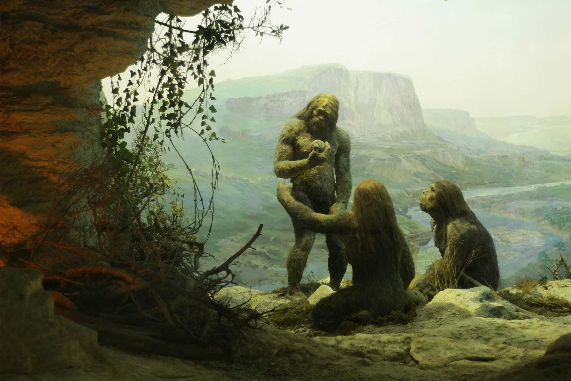 نئاندرتال‌ها هنوز زنده‌اند؛ اما جذب انسان‌های امروزی شده‌اند