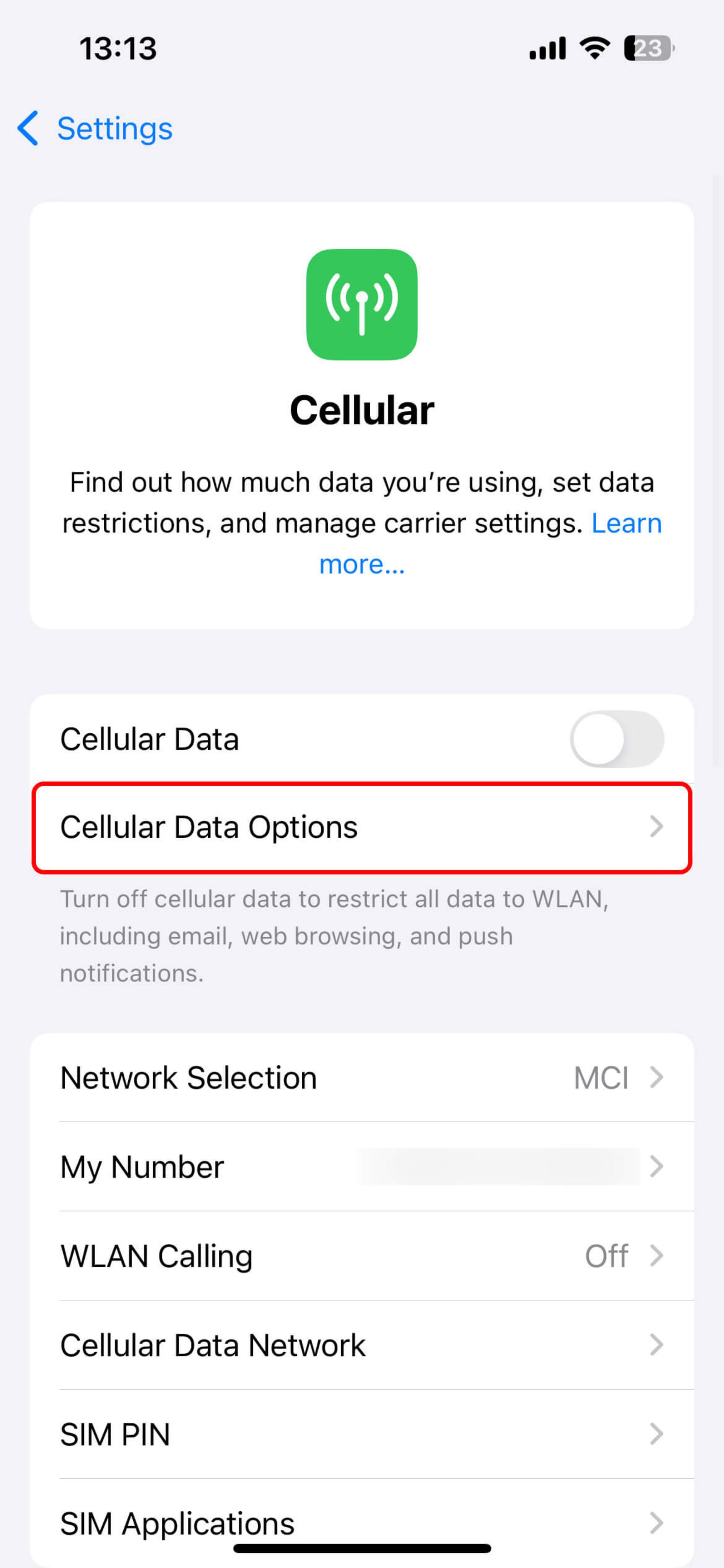 بخش Cellular