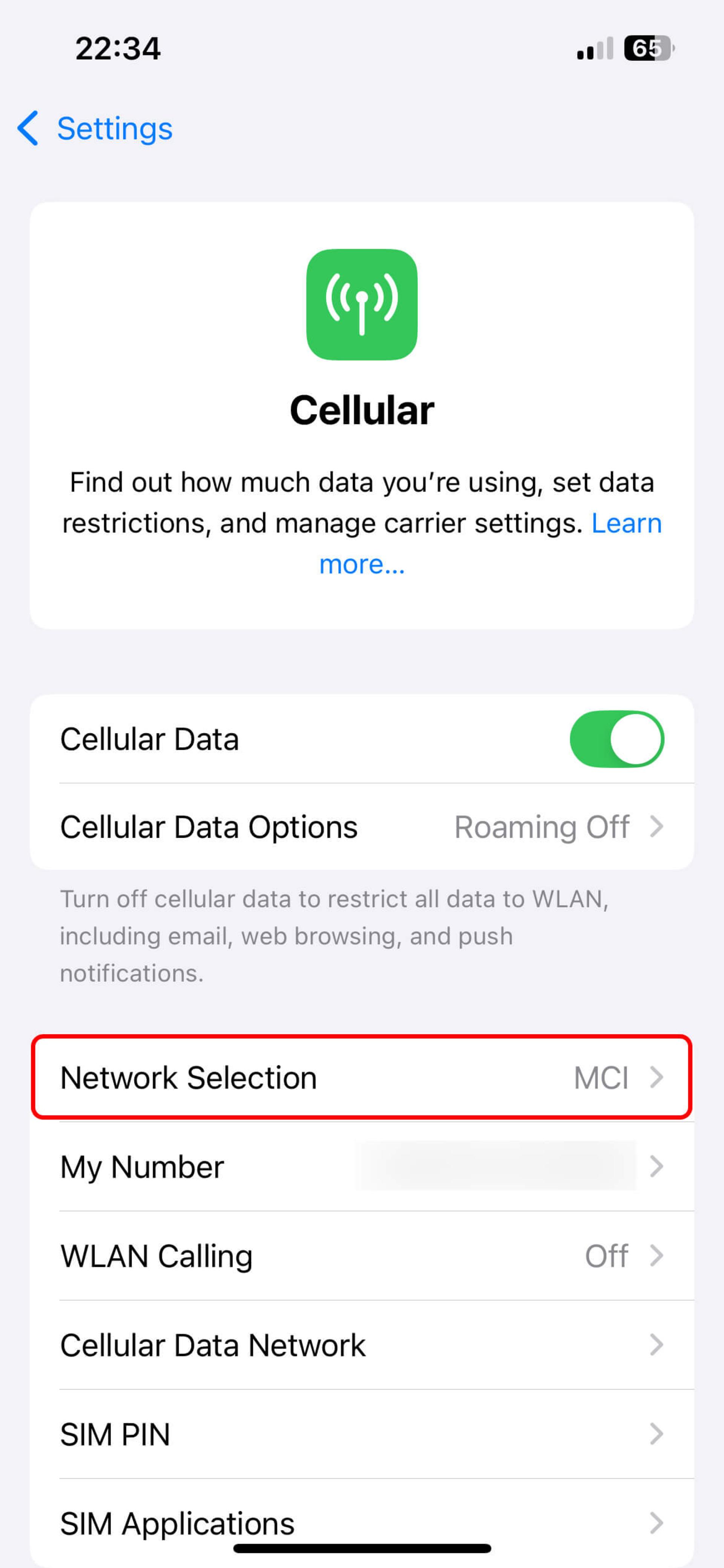صفحه Cellular و انتخاب Network Selection